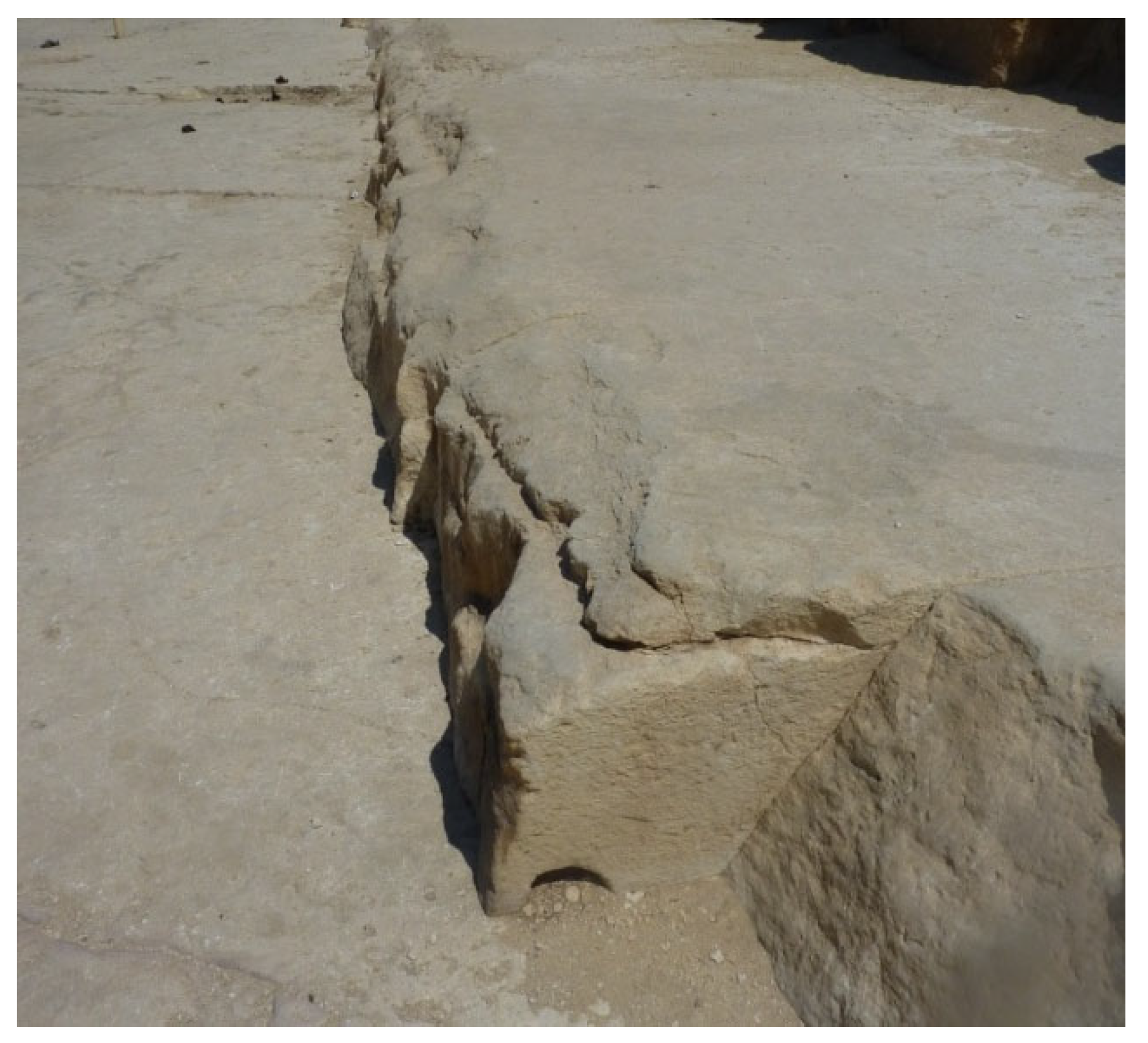 Preprints 193793 g019