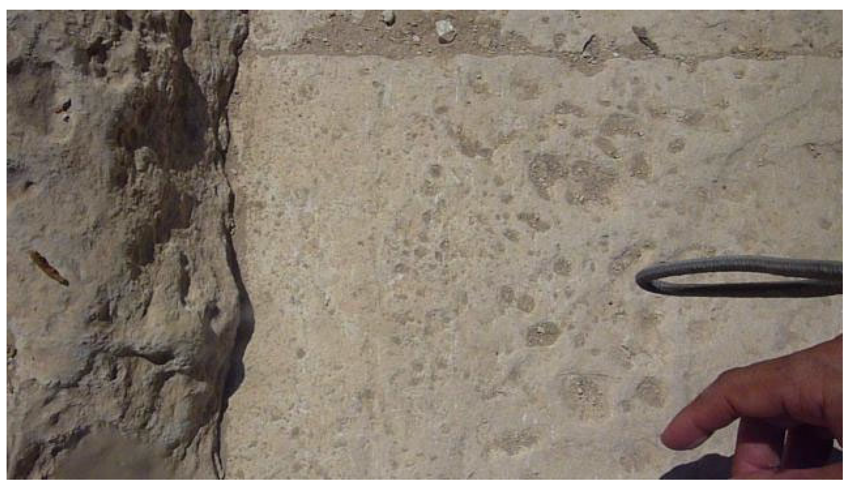 Preprints 193793 g020