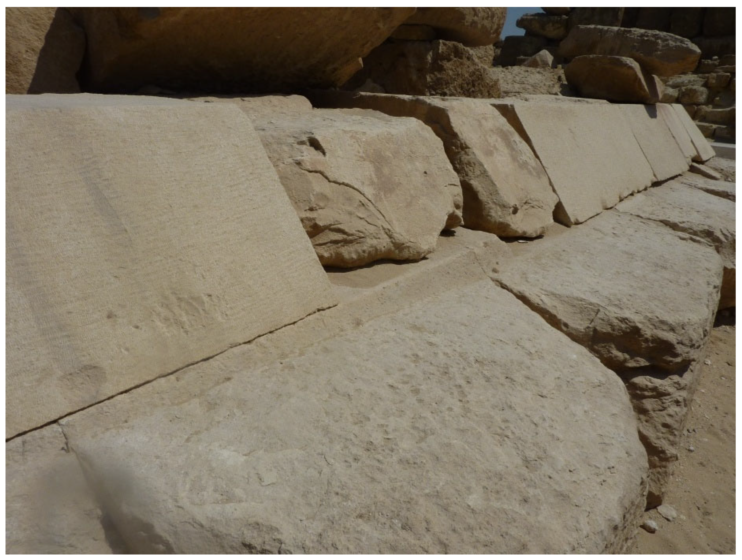 Preprints 193793 g028