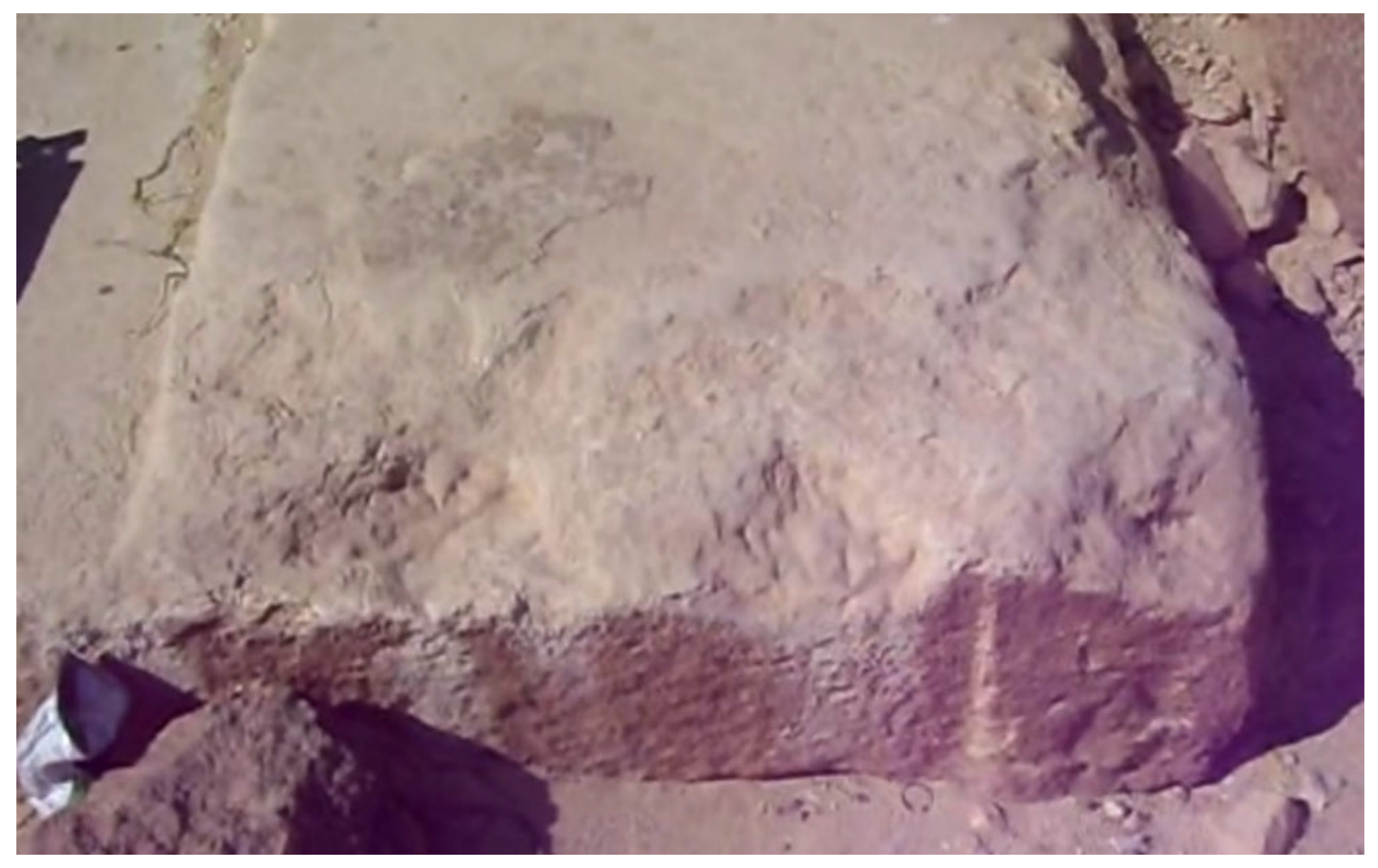 Preprints 193793 g030