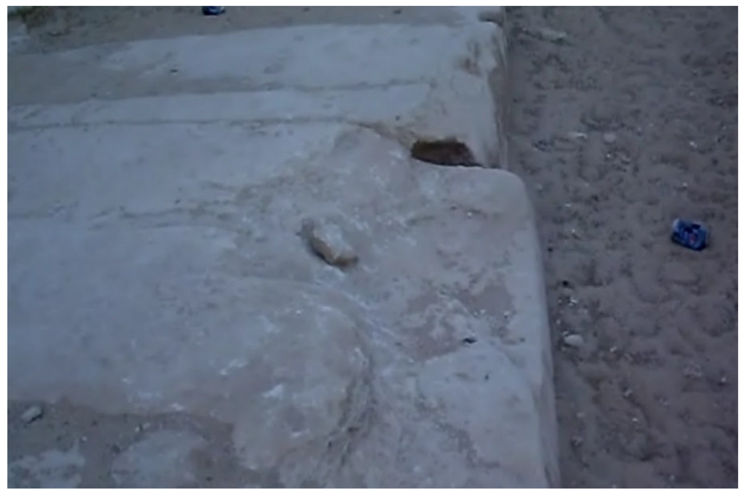 Preprints 193793 g033