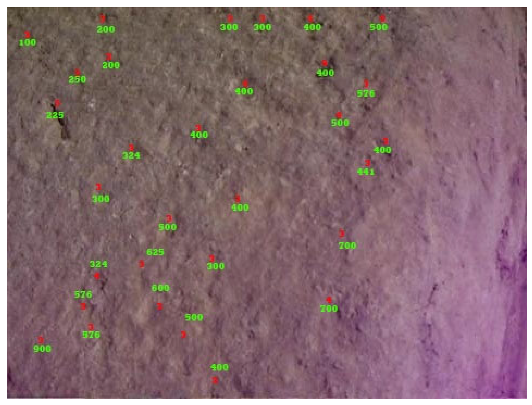 Preprints 193793 g037