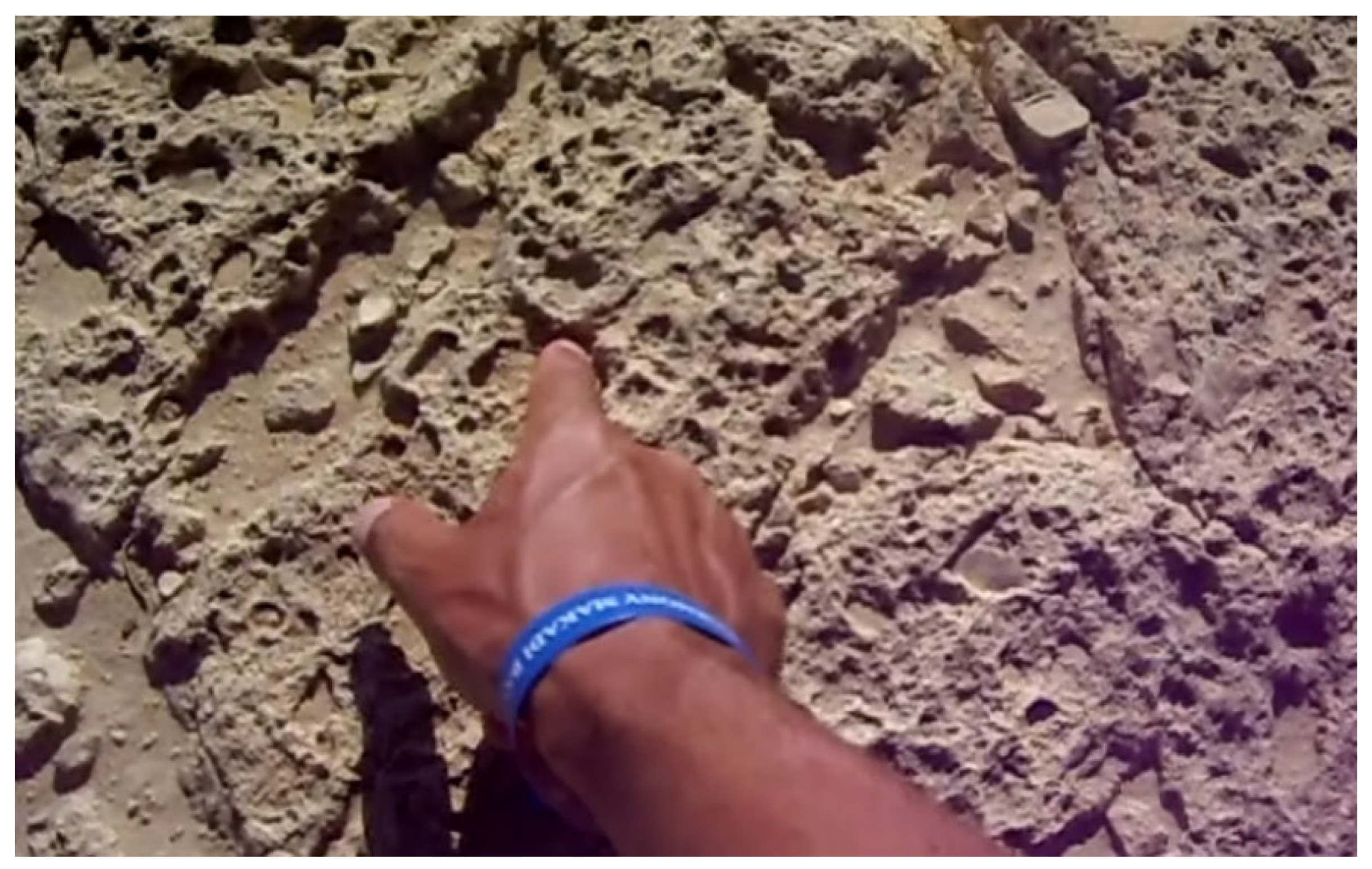 Preprints 193793 g038