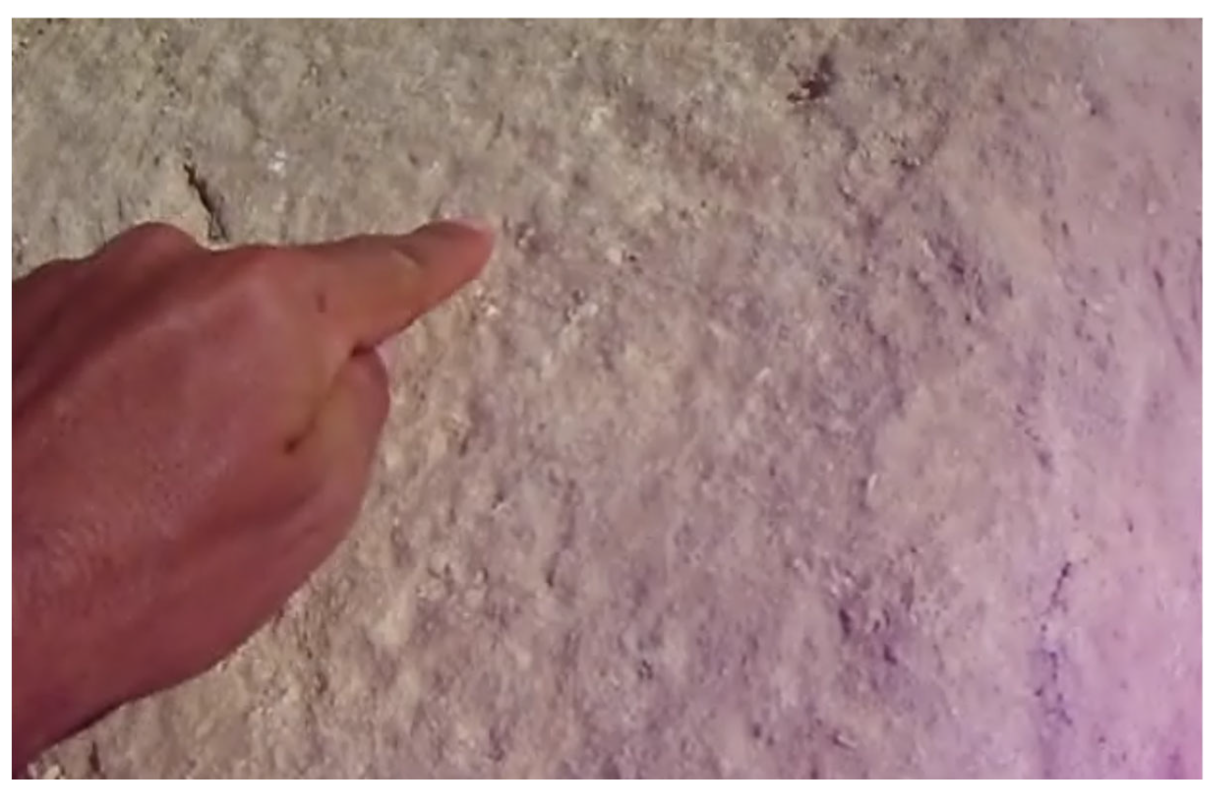 Preprints 193793 g039