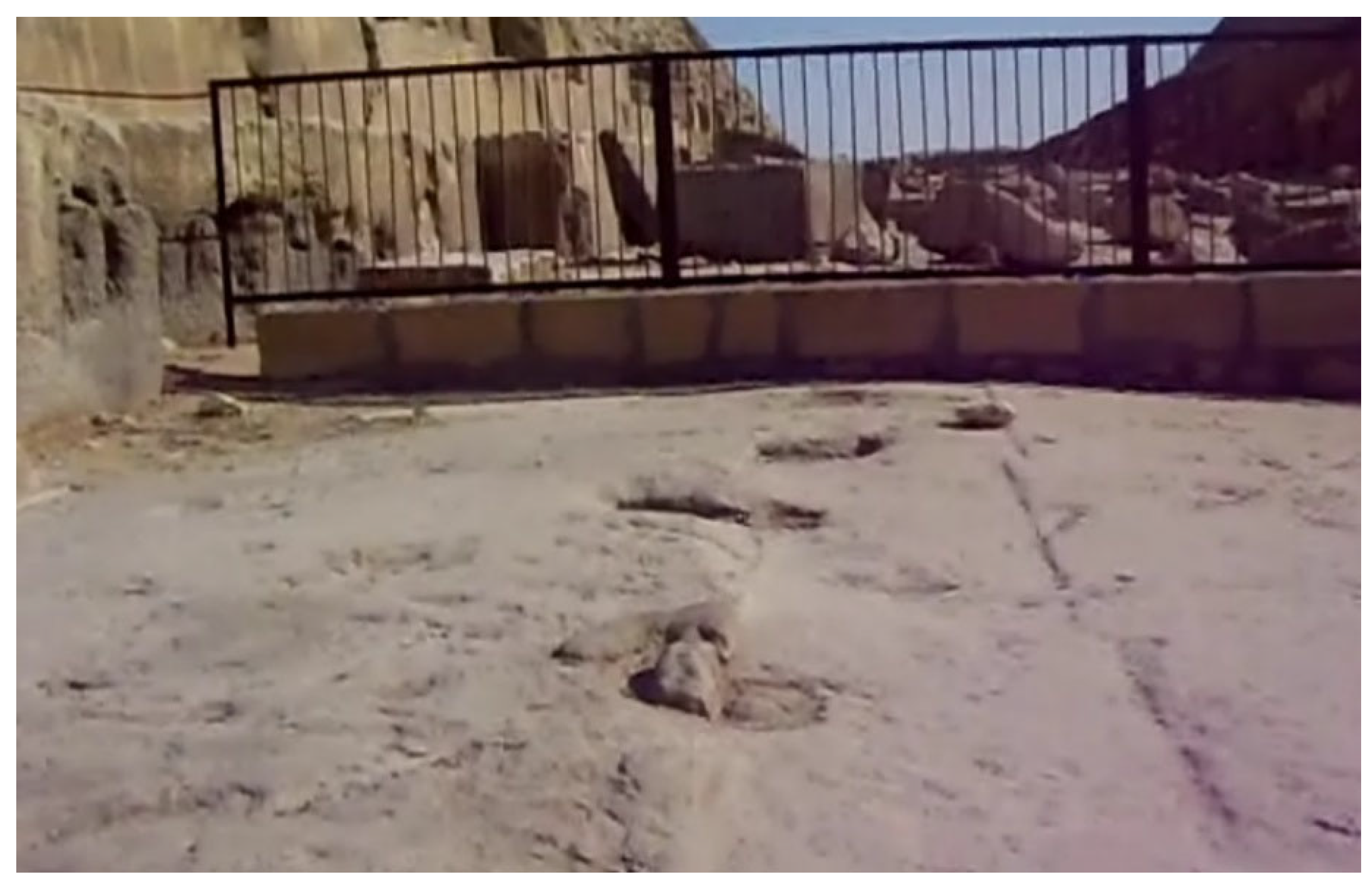 Preprints 193793 g040