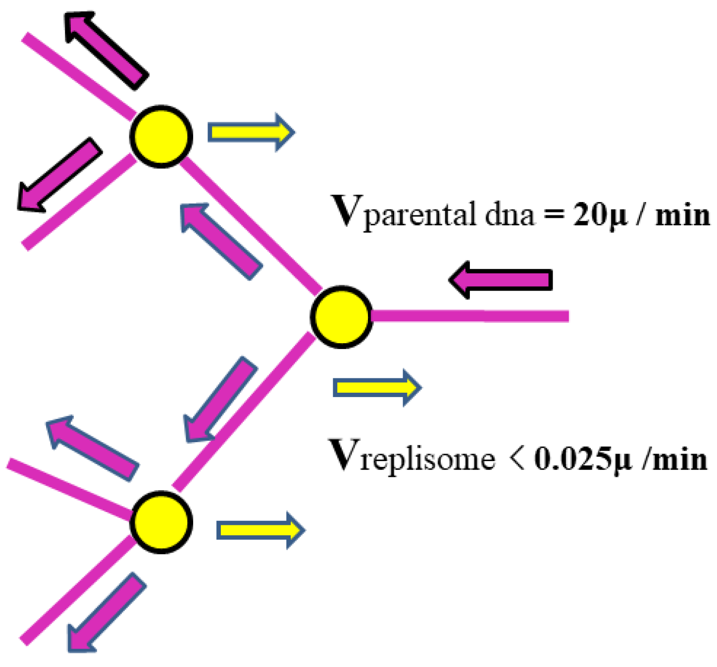 Preprints 193439 g001