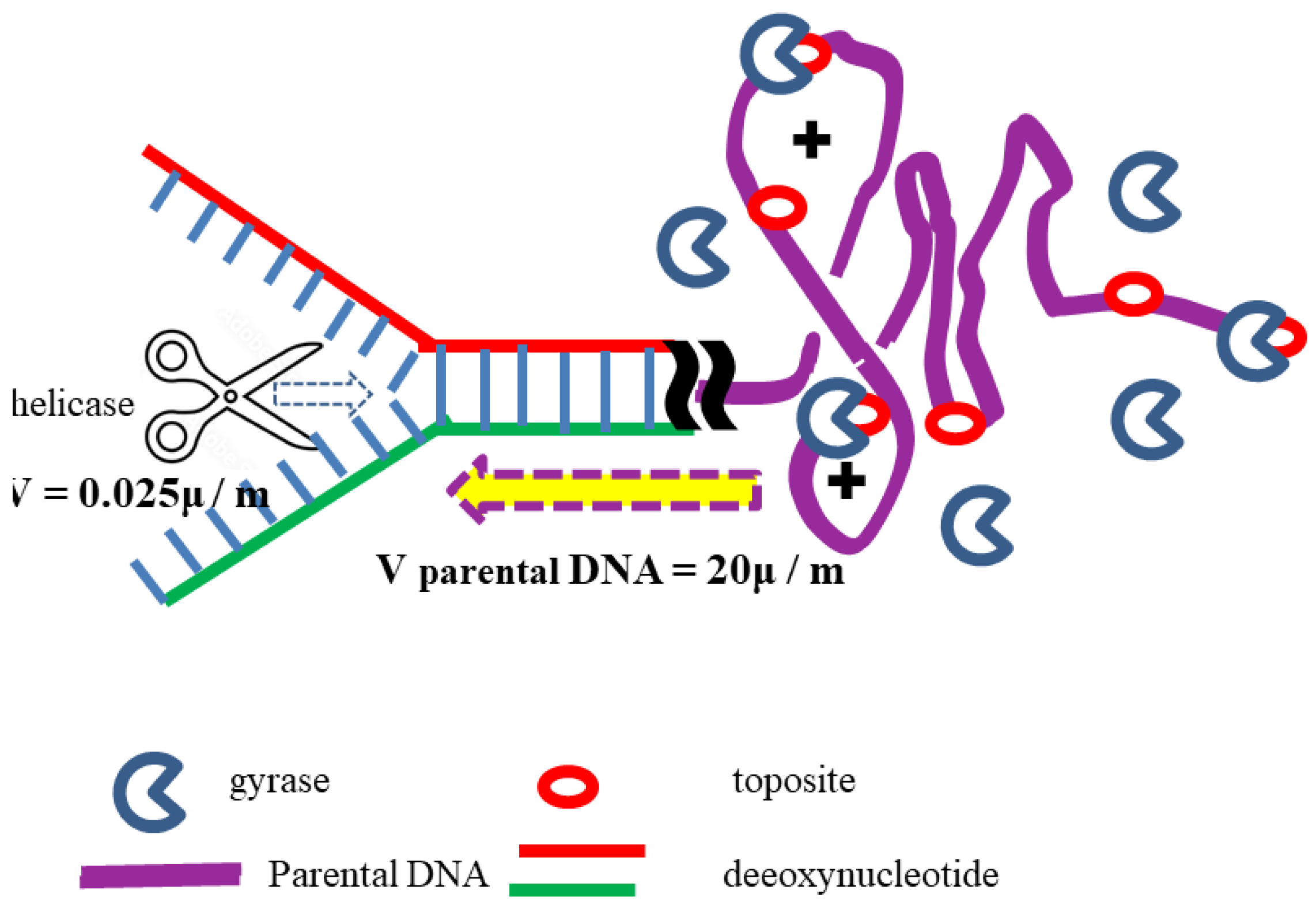 Preprints 193439 g002