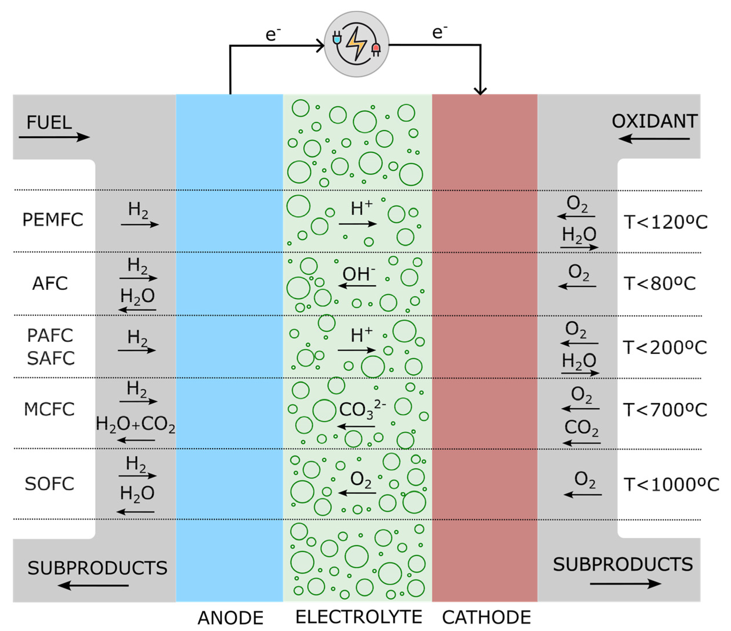 Preprints 180654 g005
