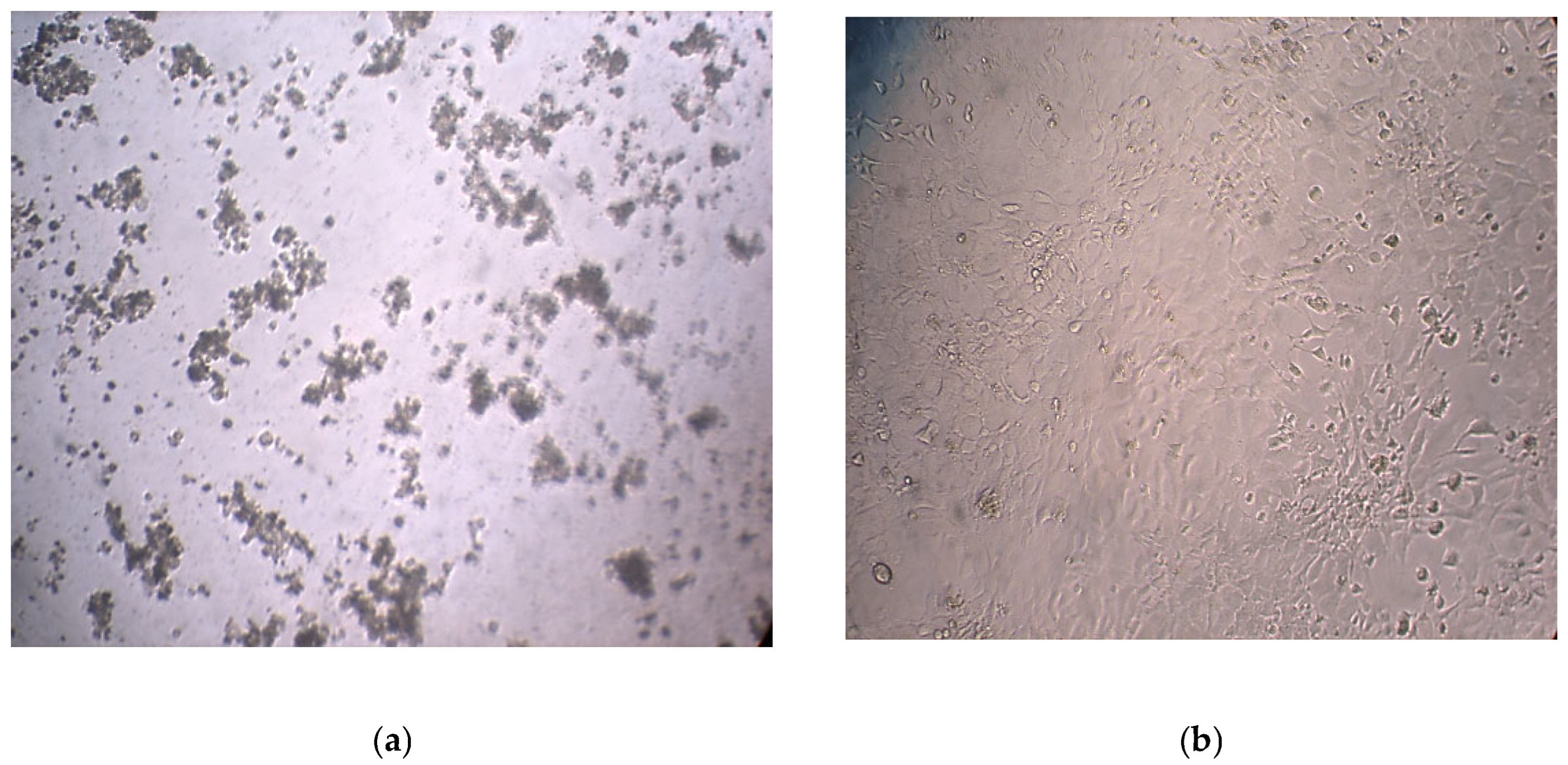 Preprints 167124 g002
