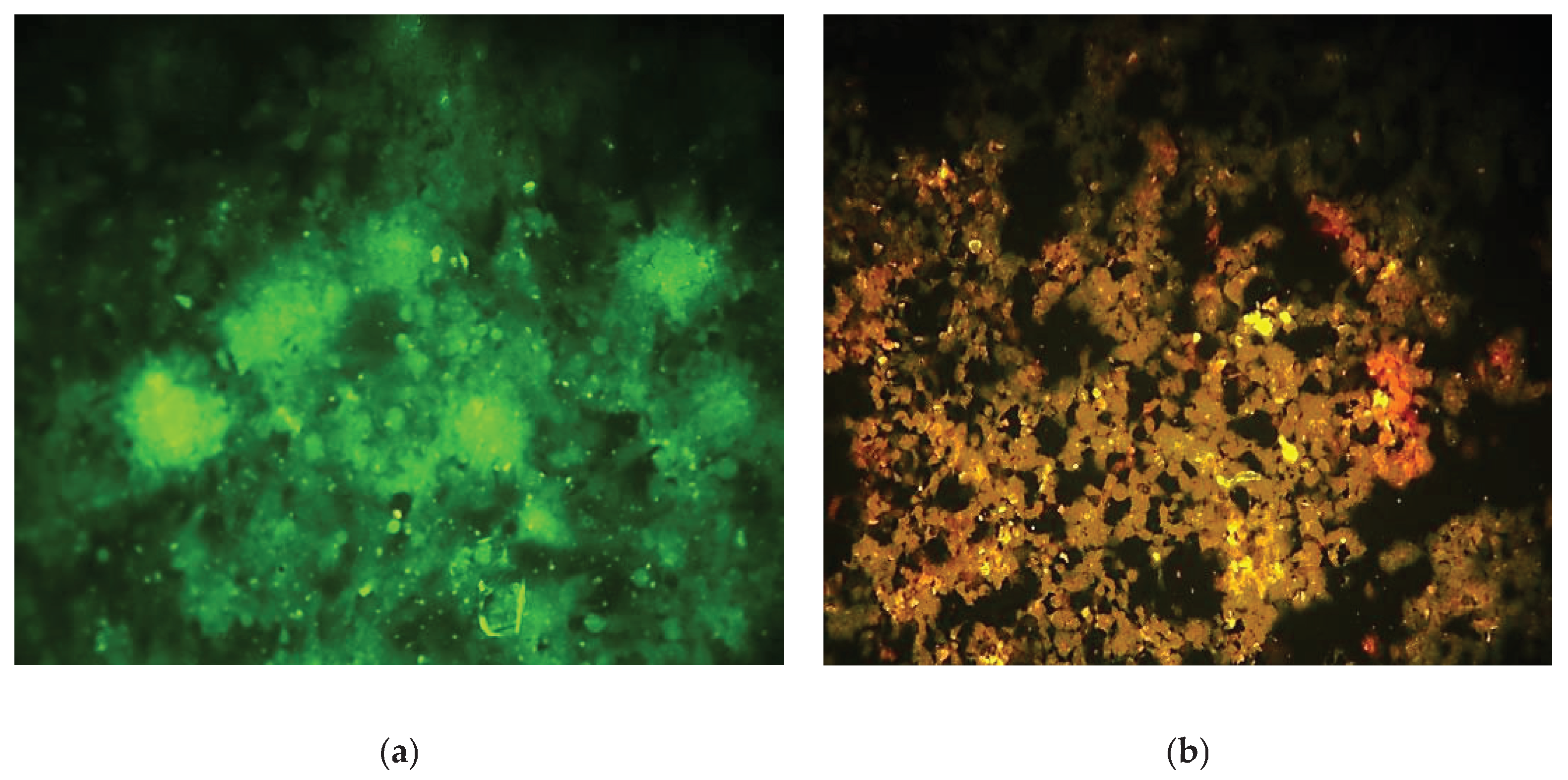 Preprints 167124 g007