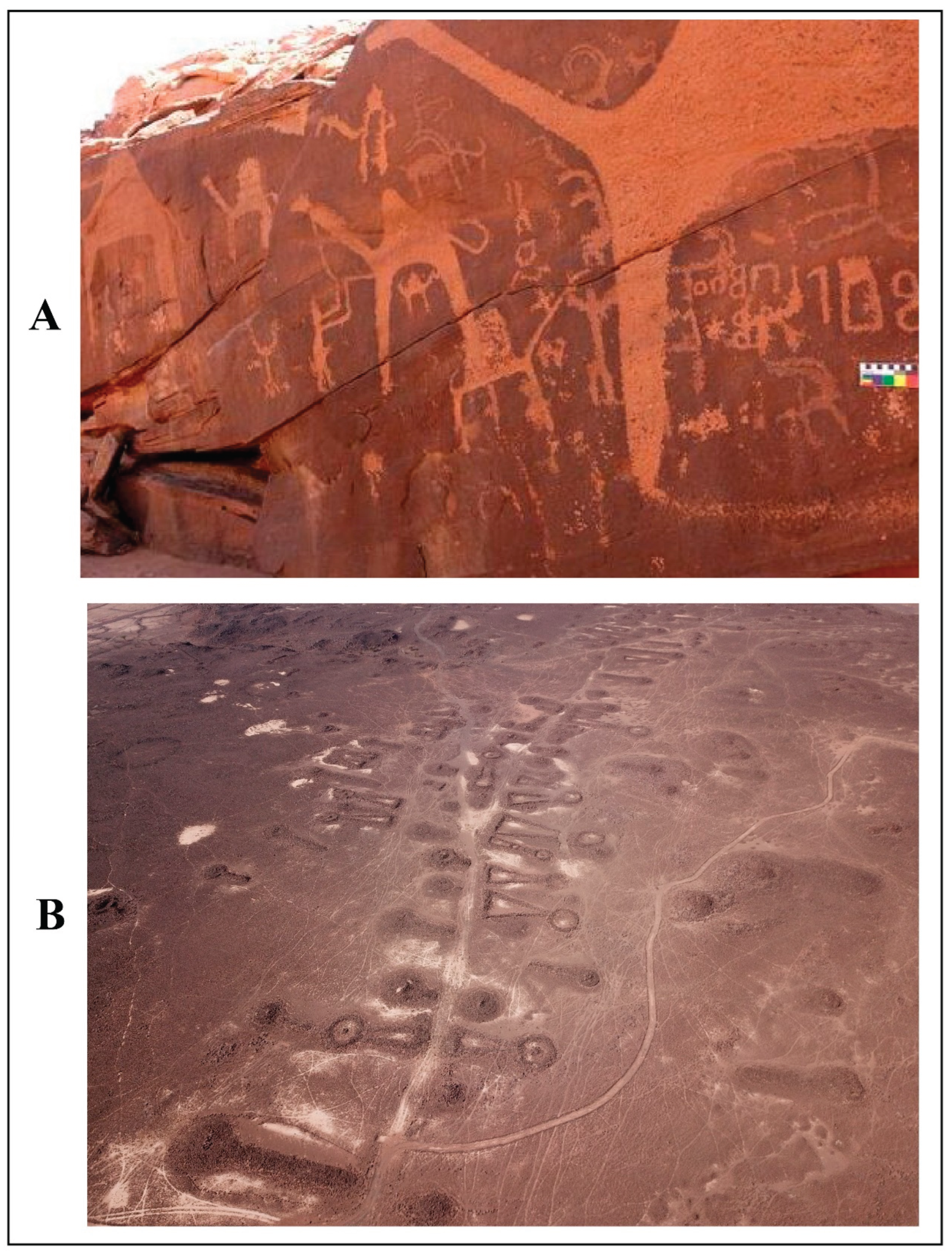 Preprints 180190 g002