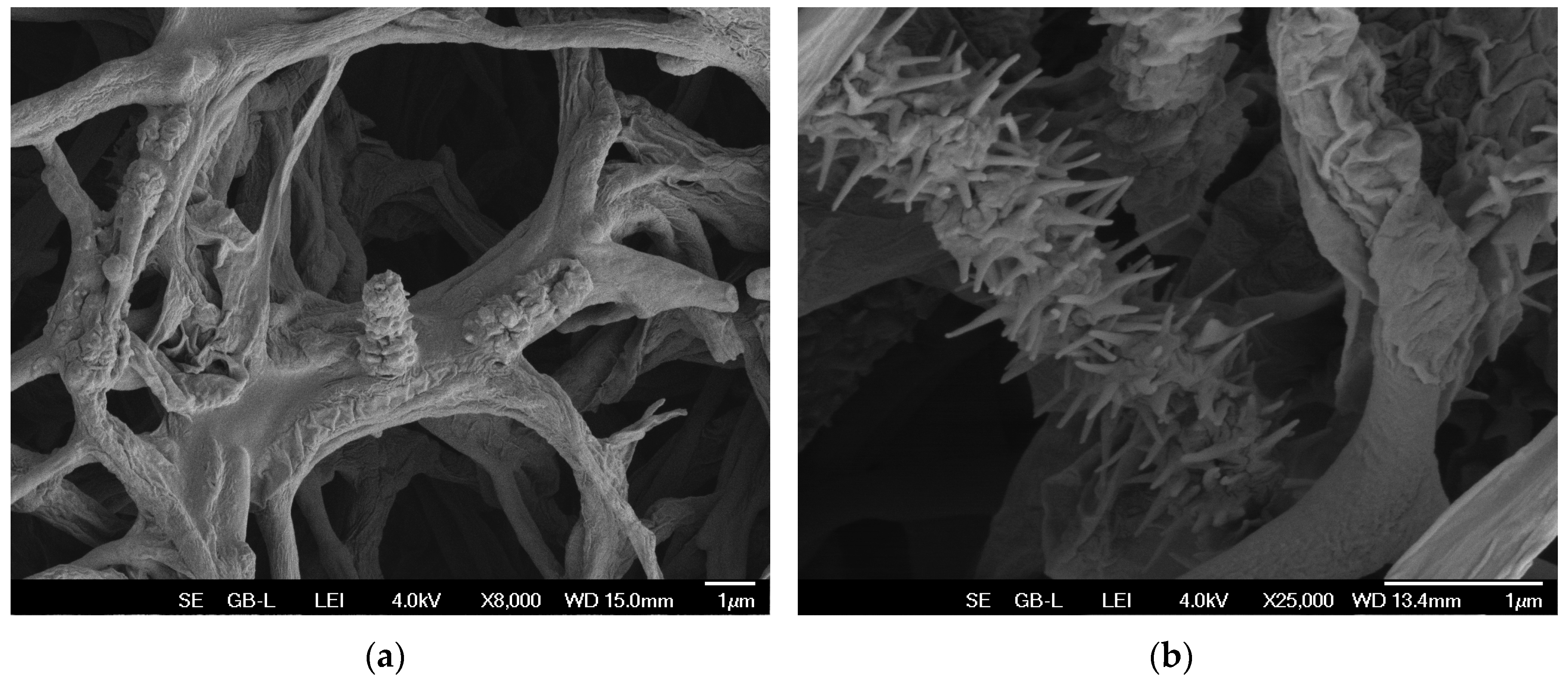Preprints 142470 g001