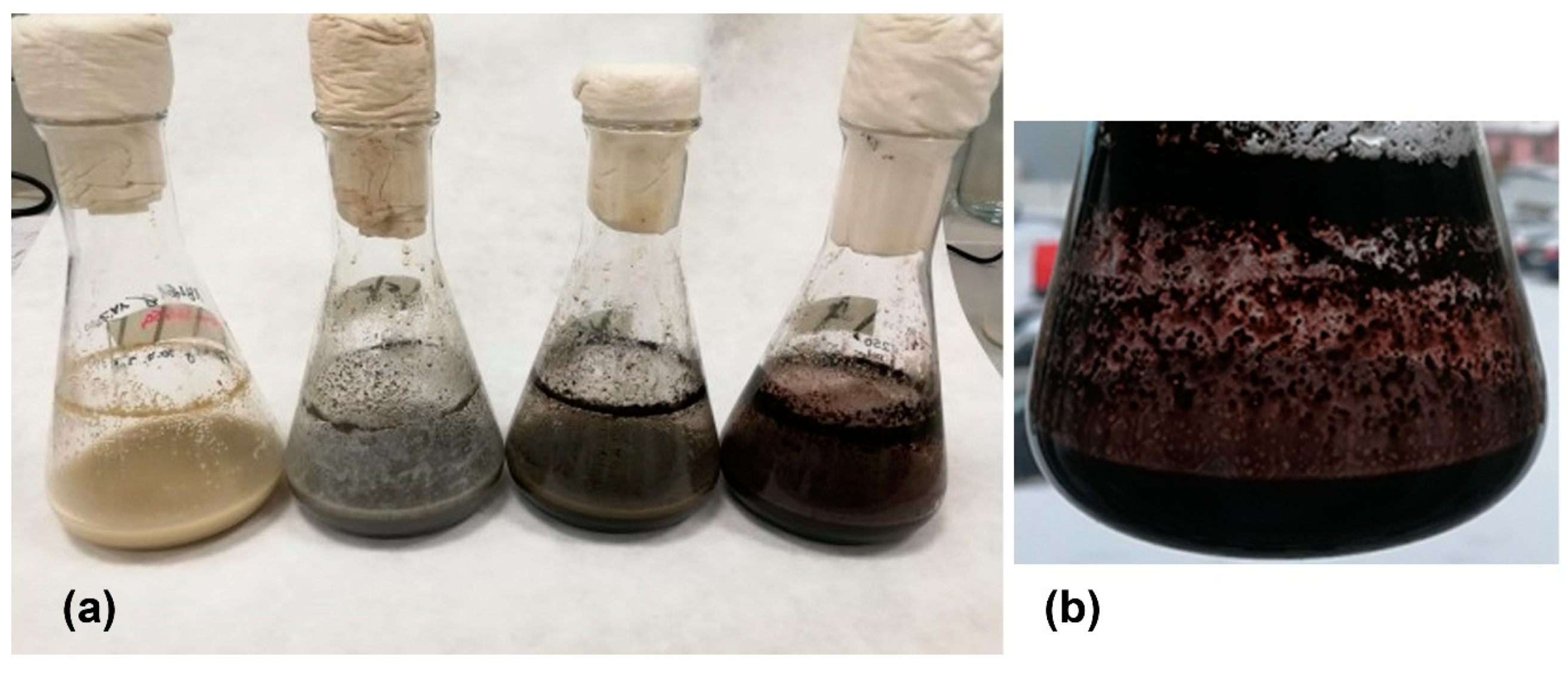 Preprints 142470 g005