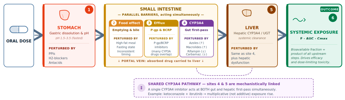 Preprints 221674 g002