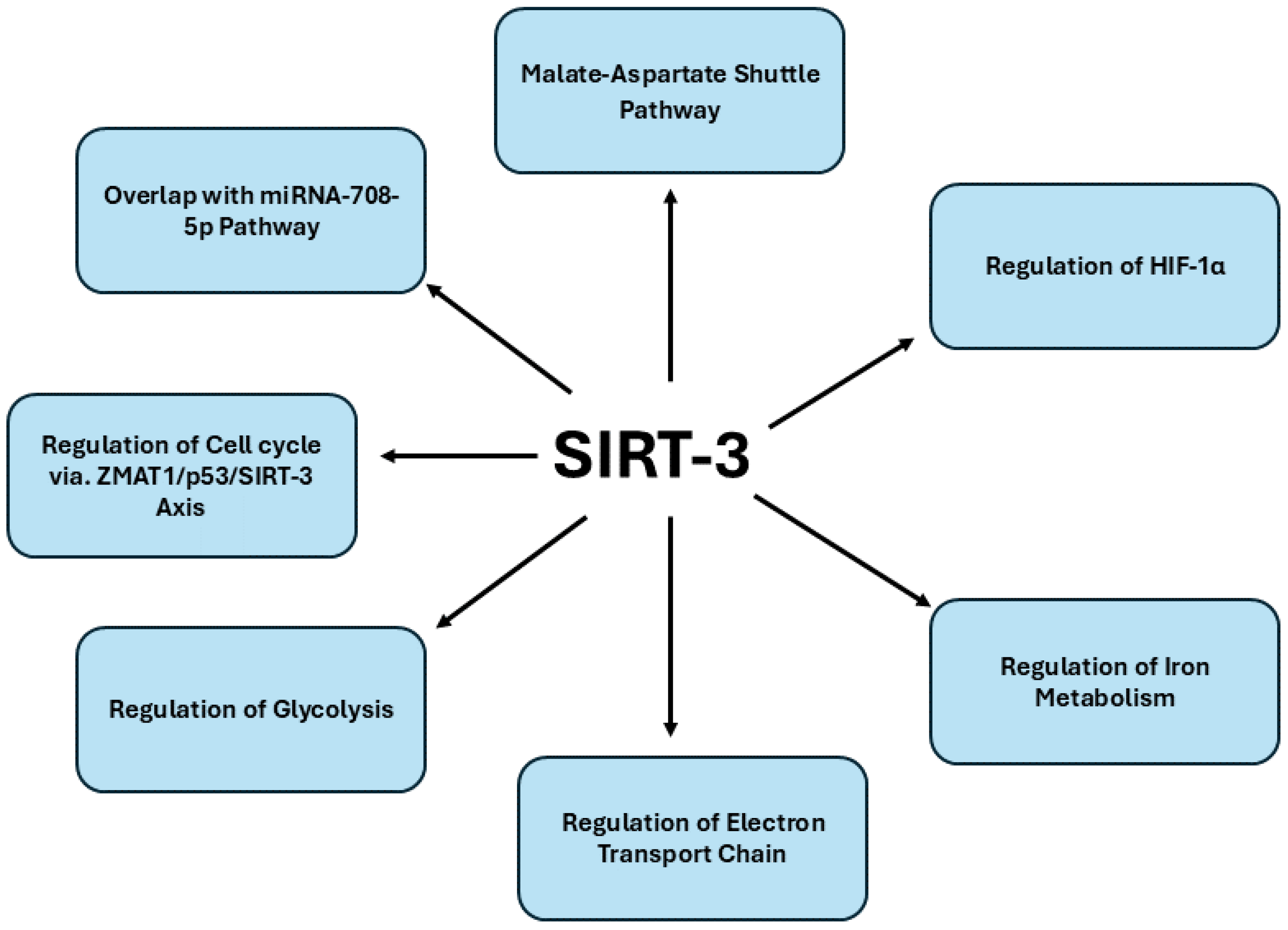 Preprints 139561 g003