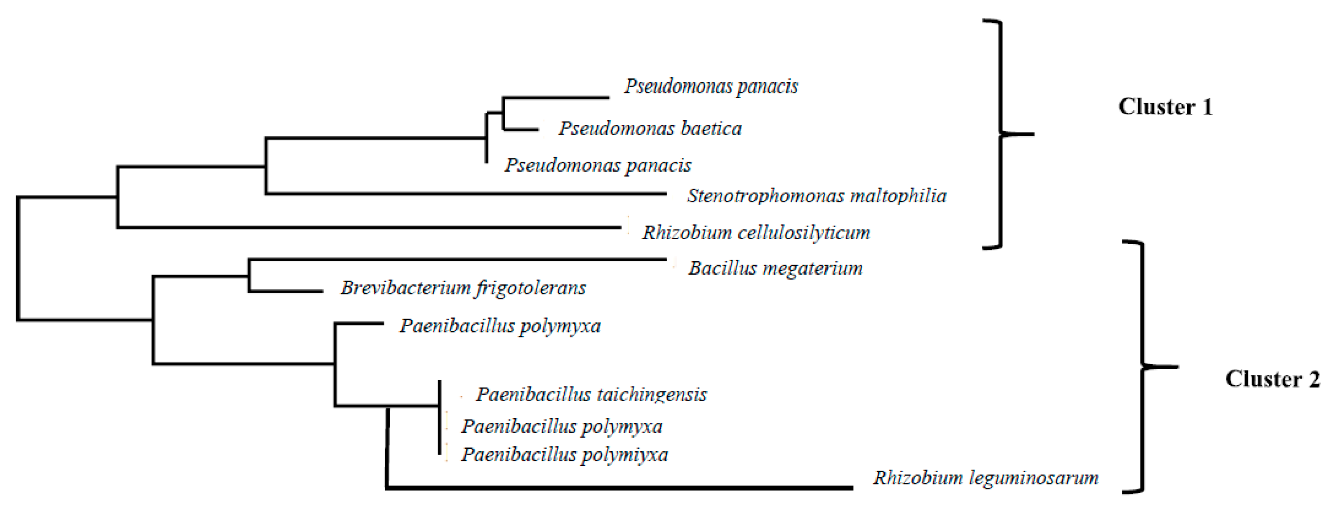 Preprints 86020 g001