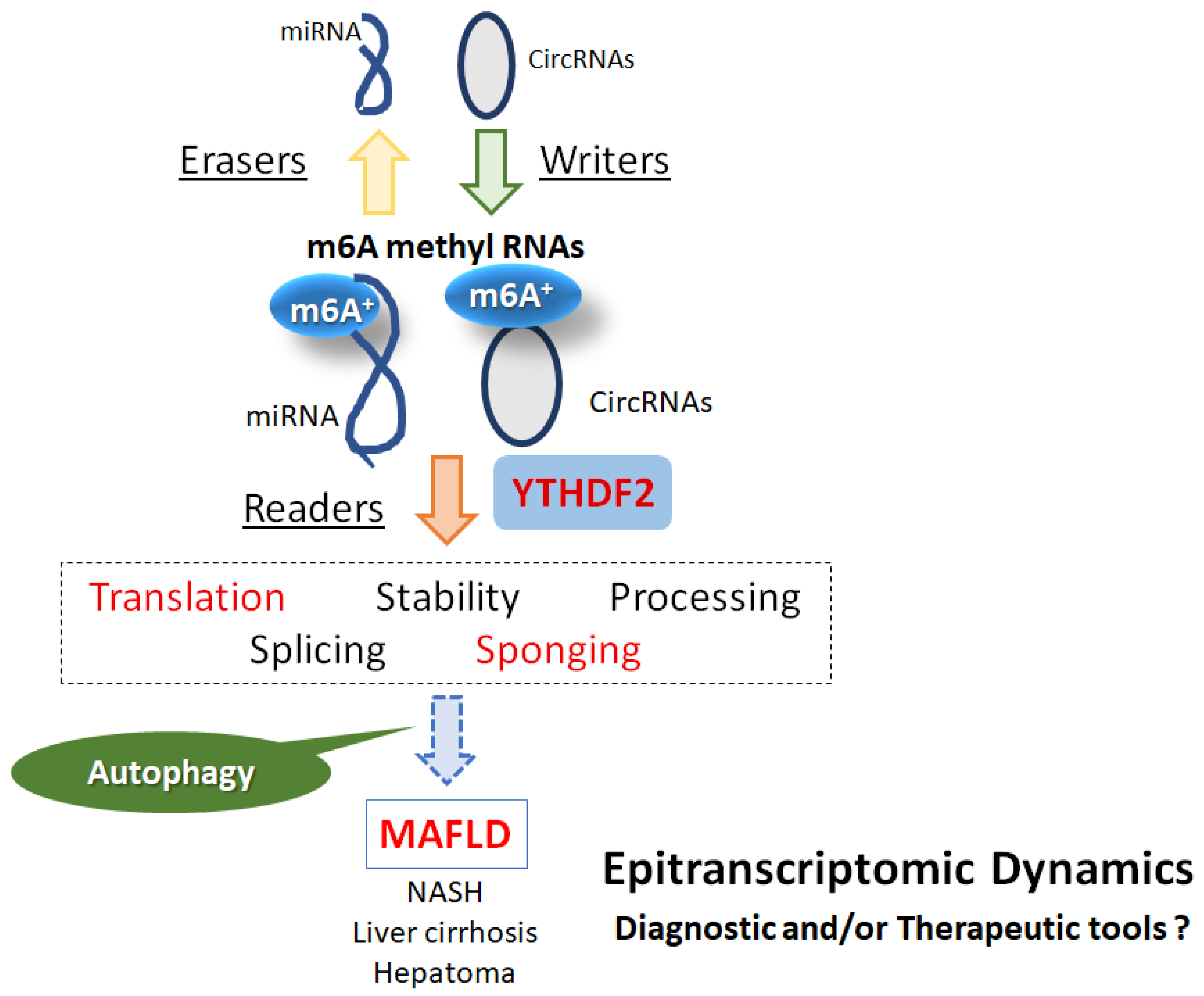 Preprints 92741 g001