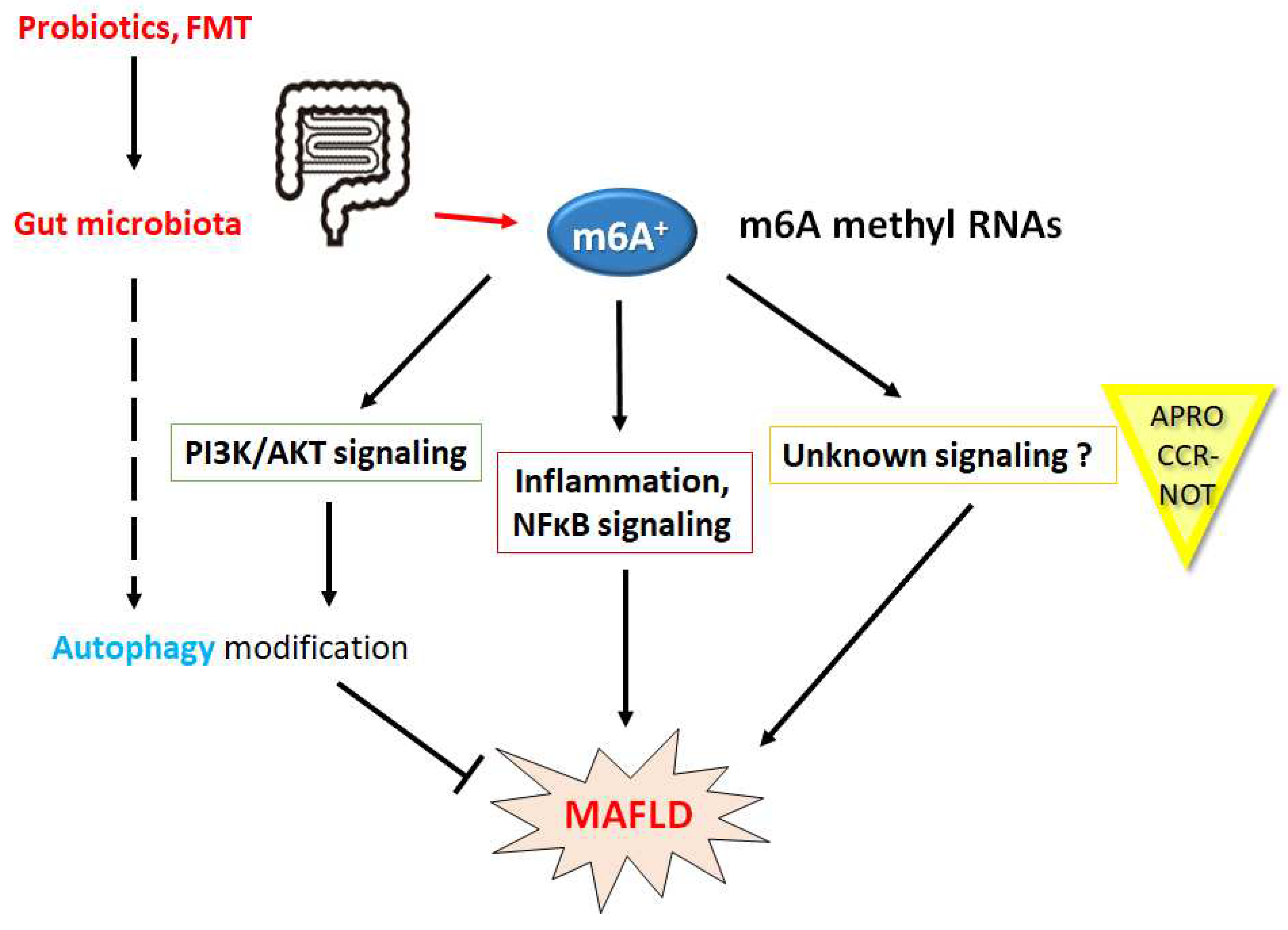 Preprints 92741 g003