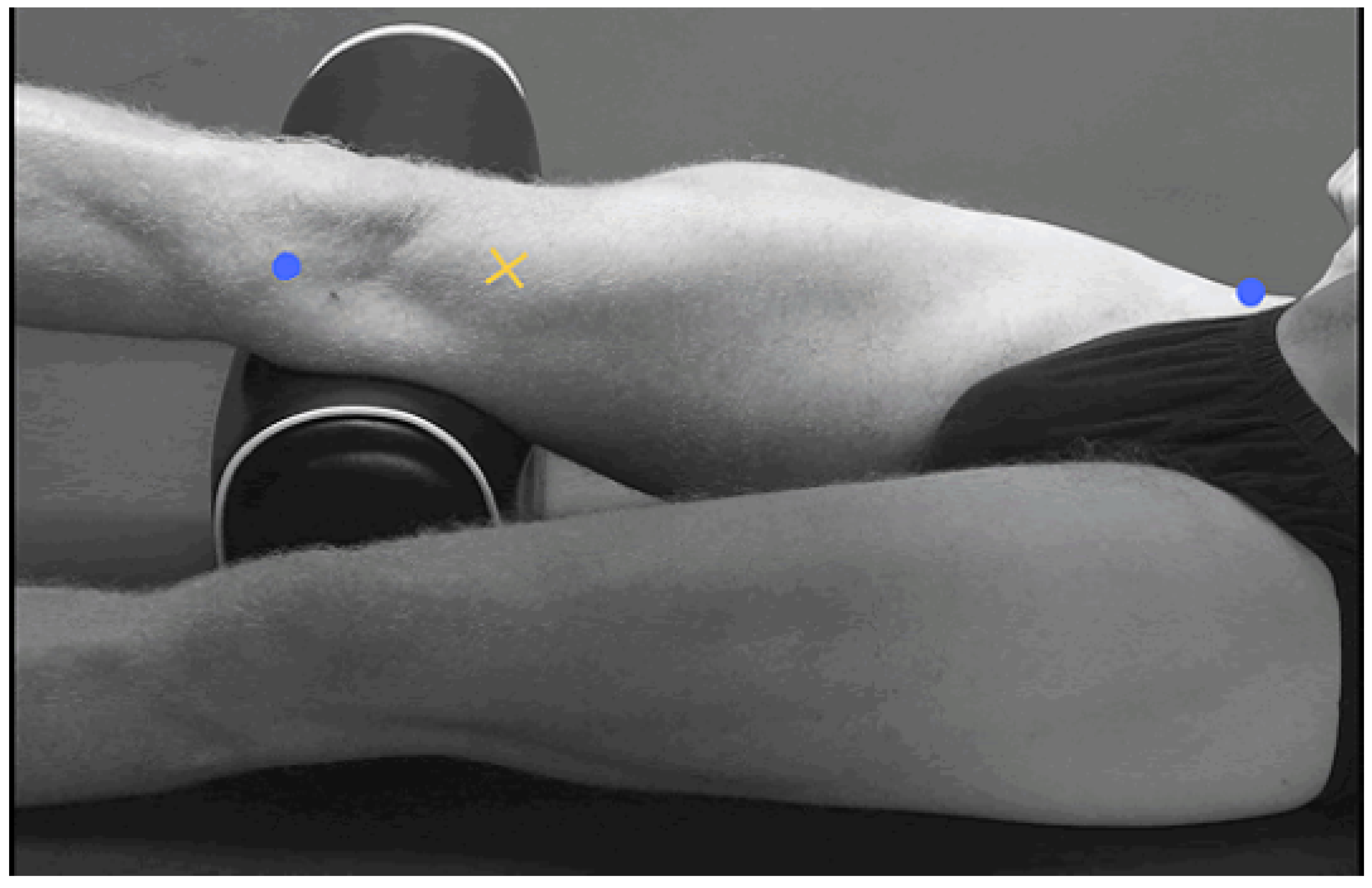 Preprints 152793 g002