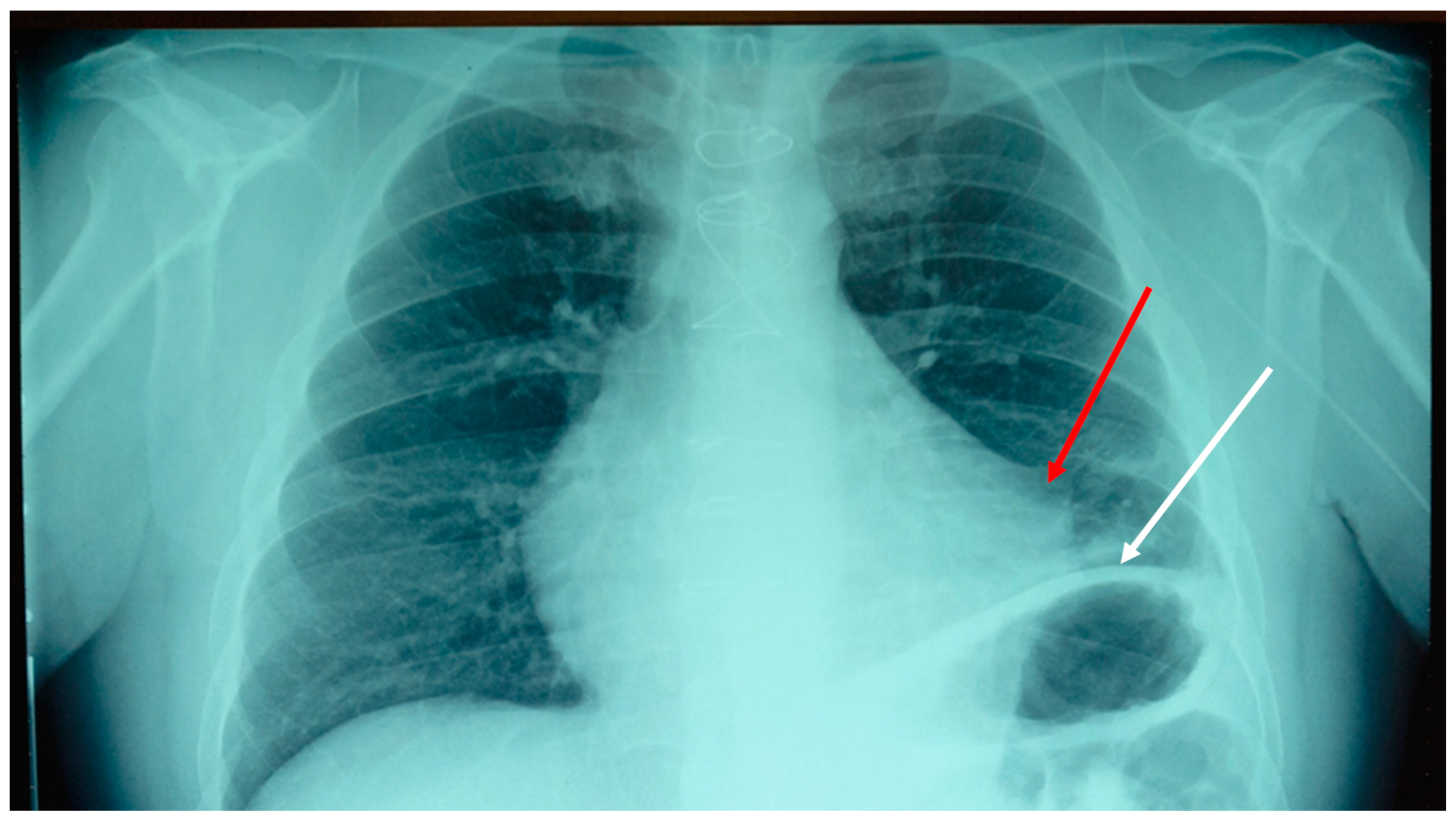 Preprints 85646 g001