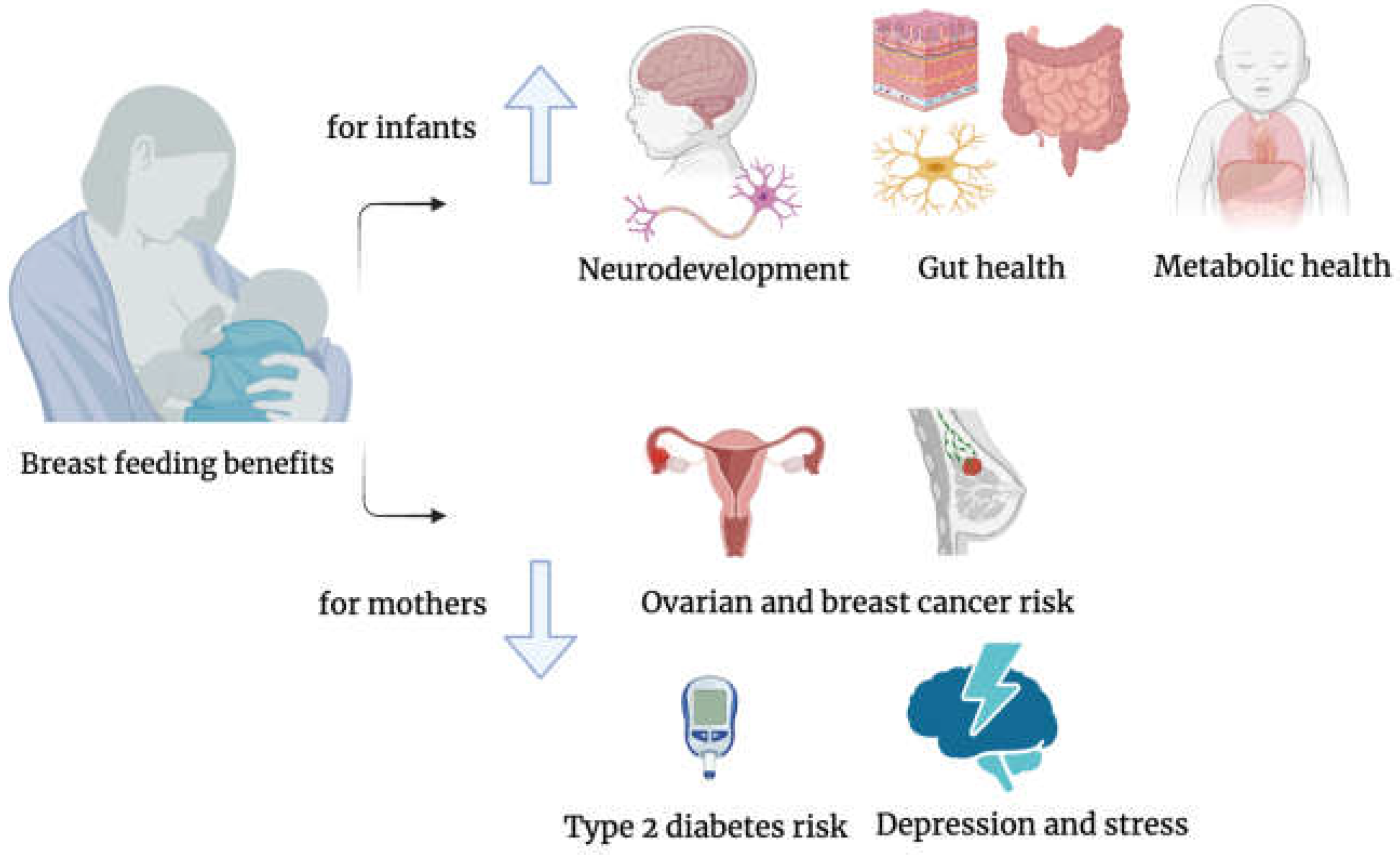 Preprints 139685 g001