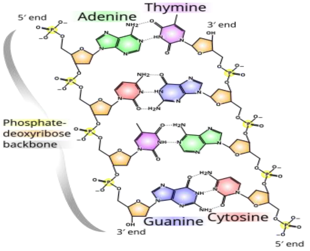 Preprints 151563 g001