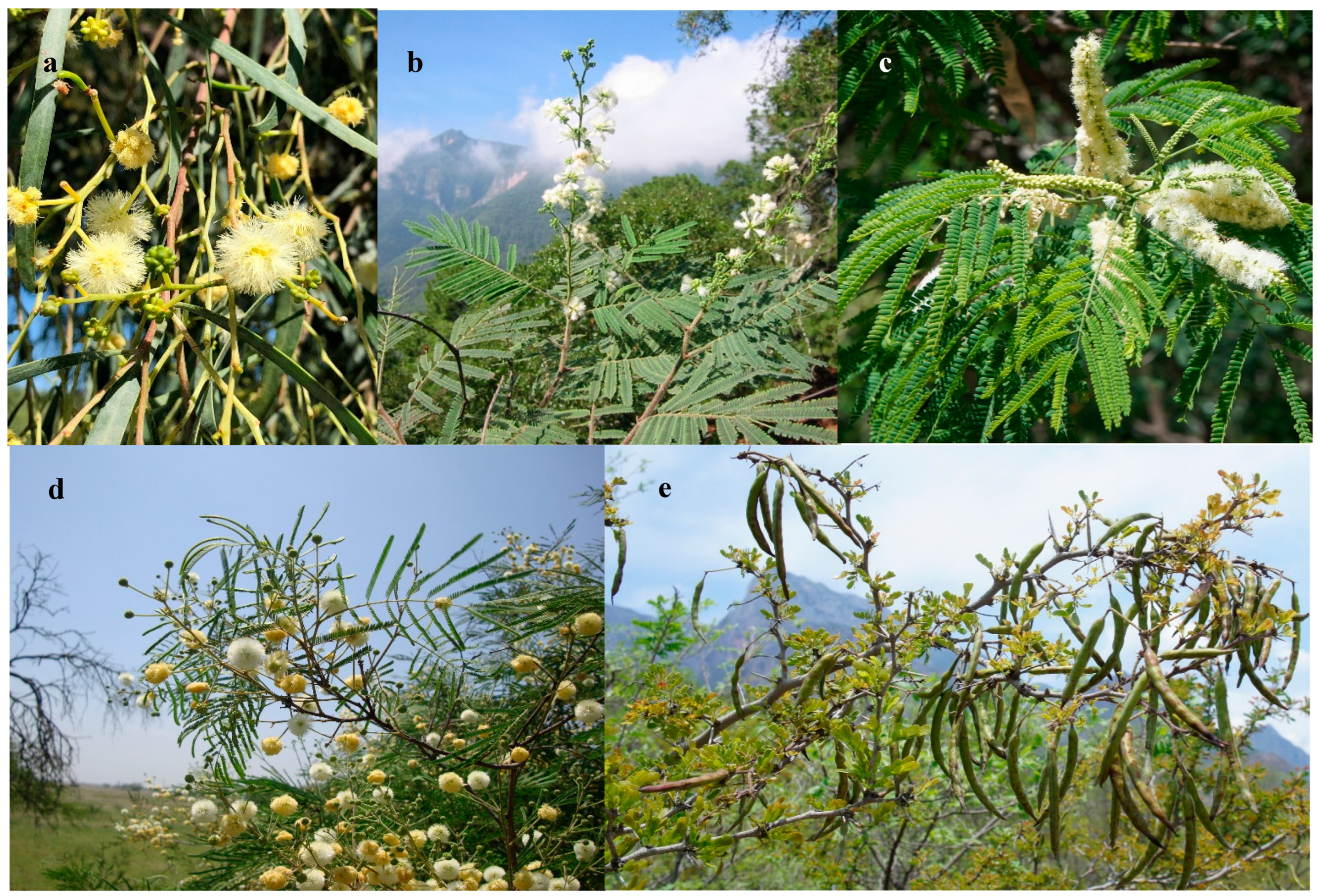 Preprints 95127 g001