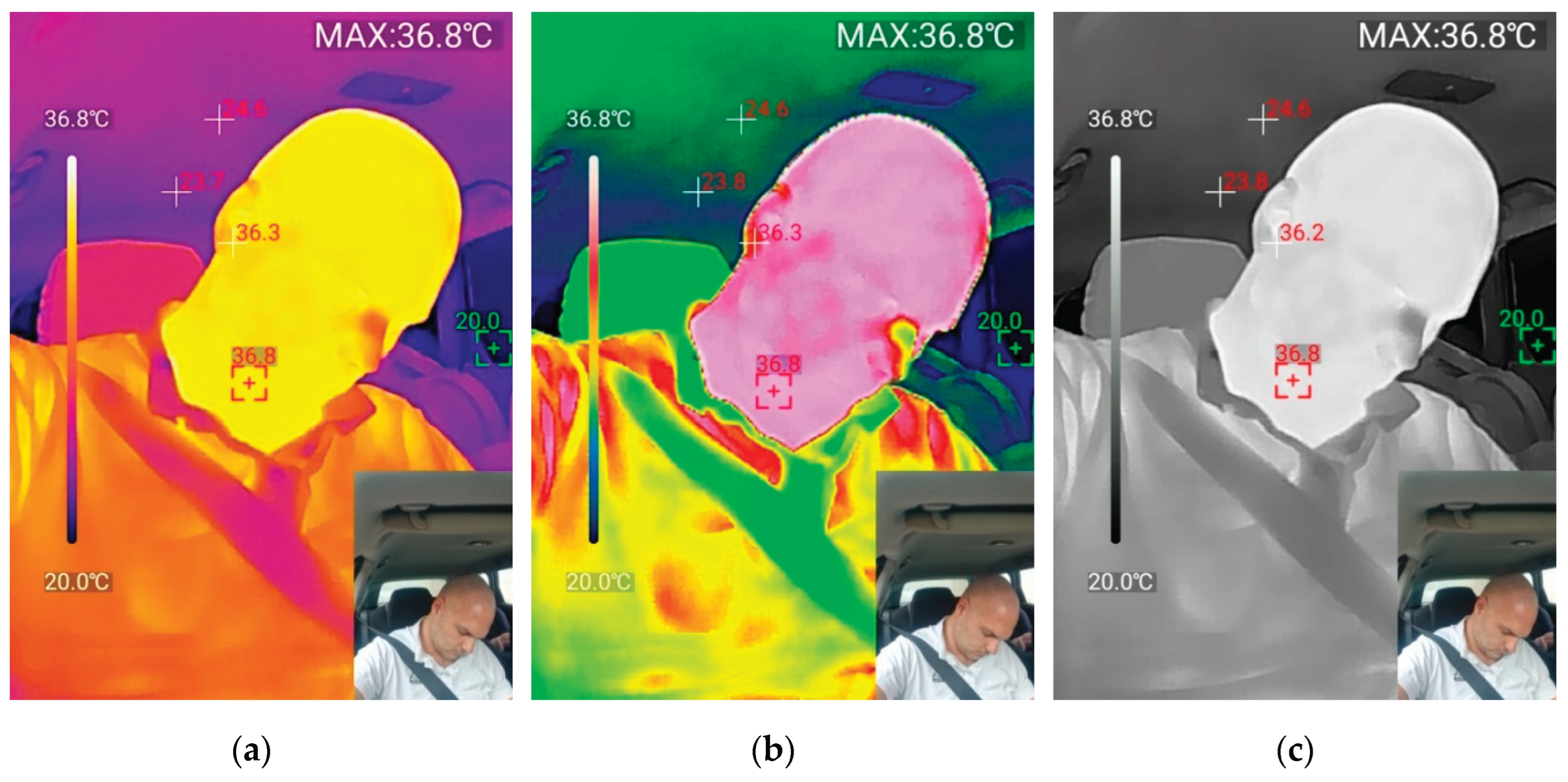 Preprints 190189 g005a