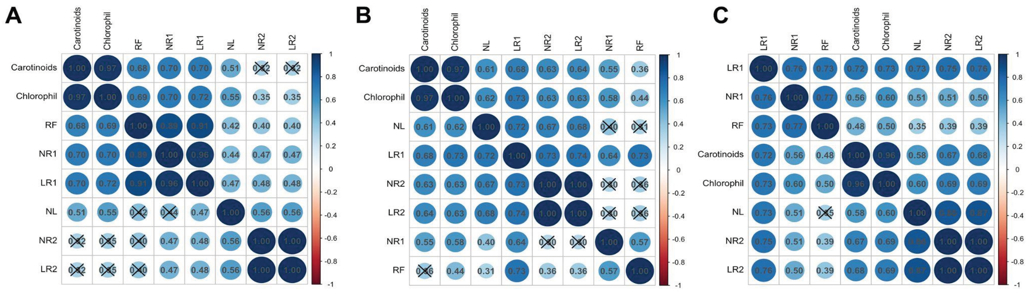 Preprints 207021 g004 Preprints 207021 g004