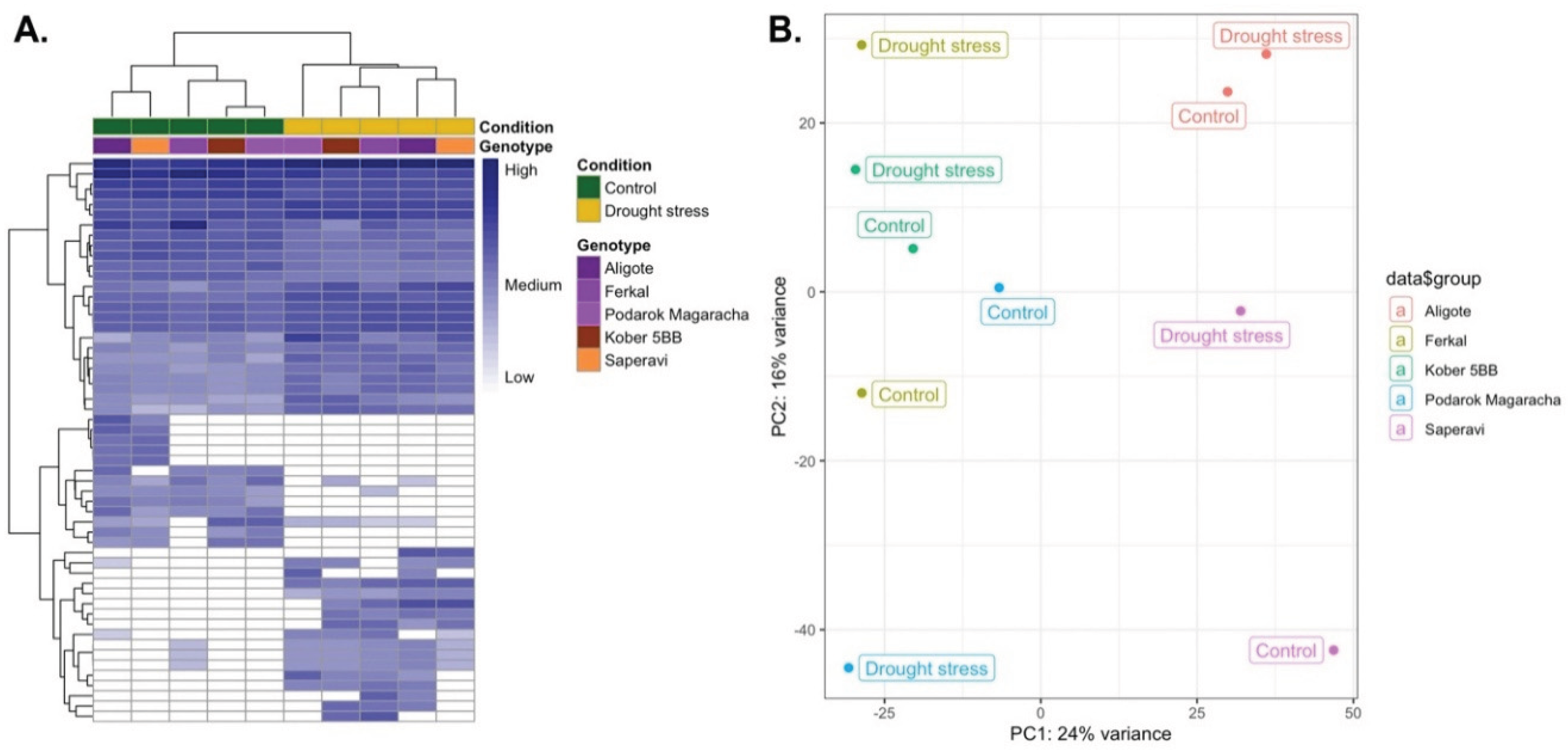 Preprints 207021 g009 Preprints 207021 g009