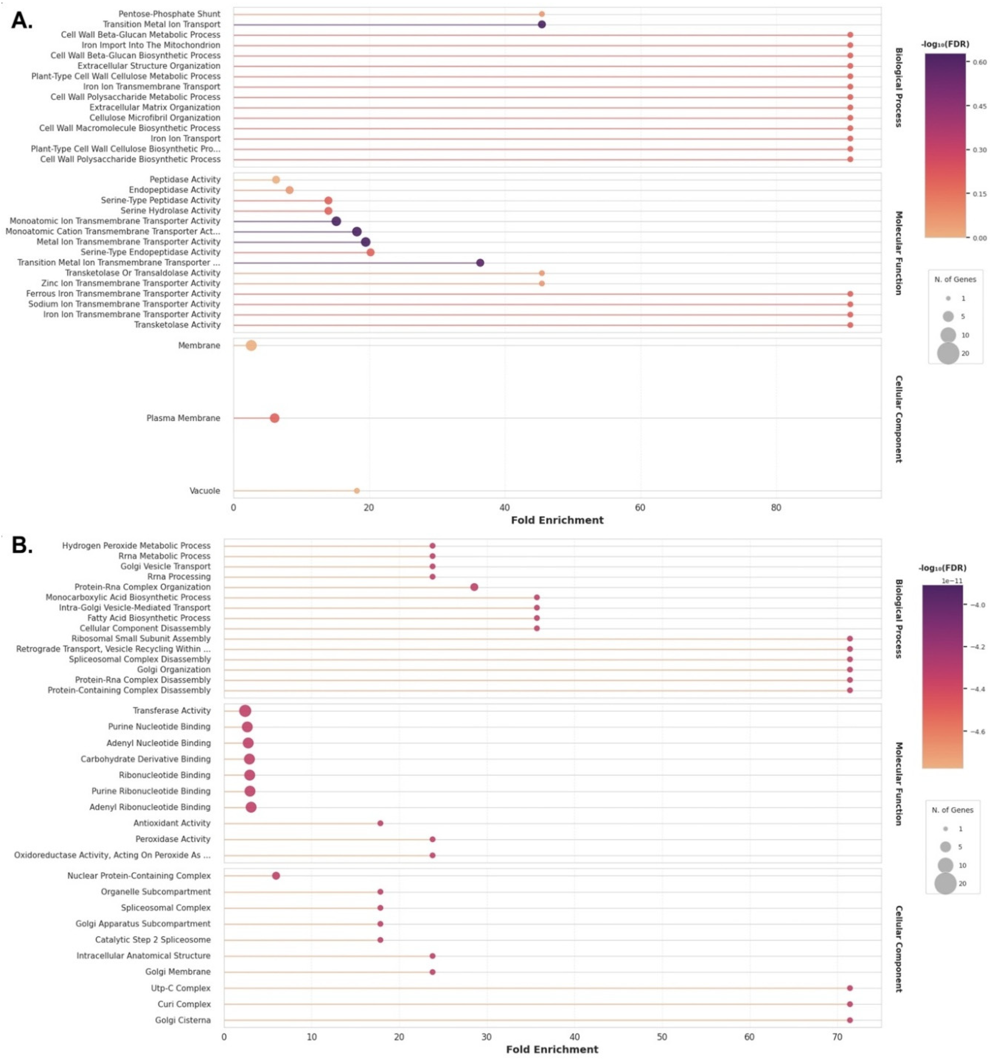 Preprints 207021 g010 Preprints 207021 g010