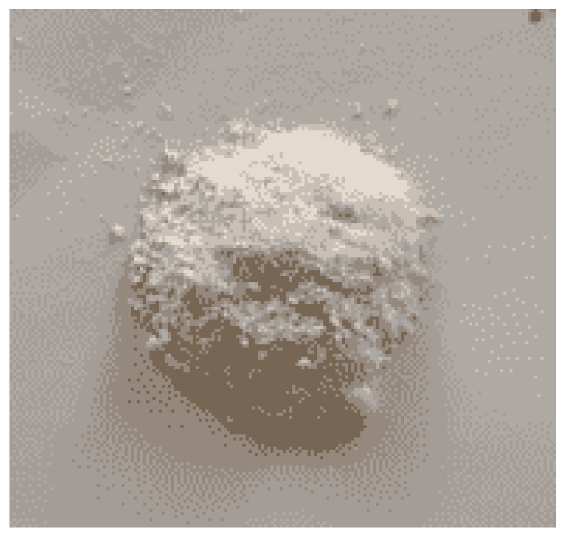 Preprints 143335 g005