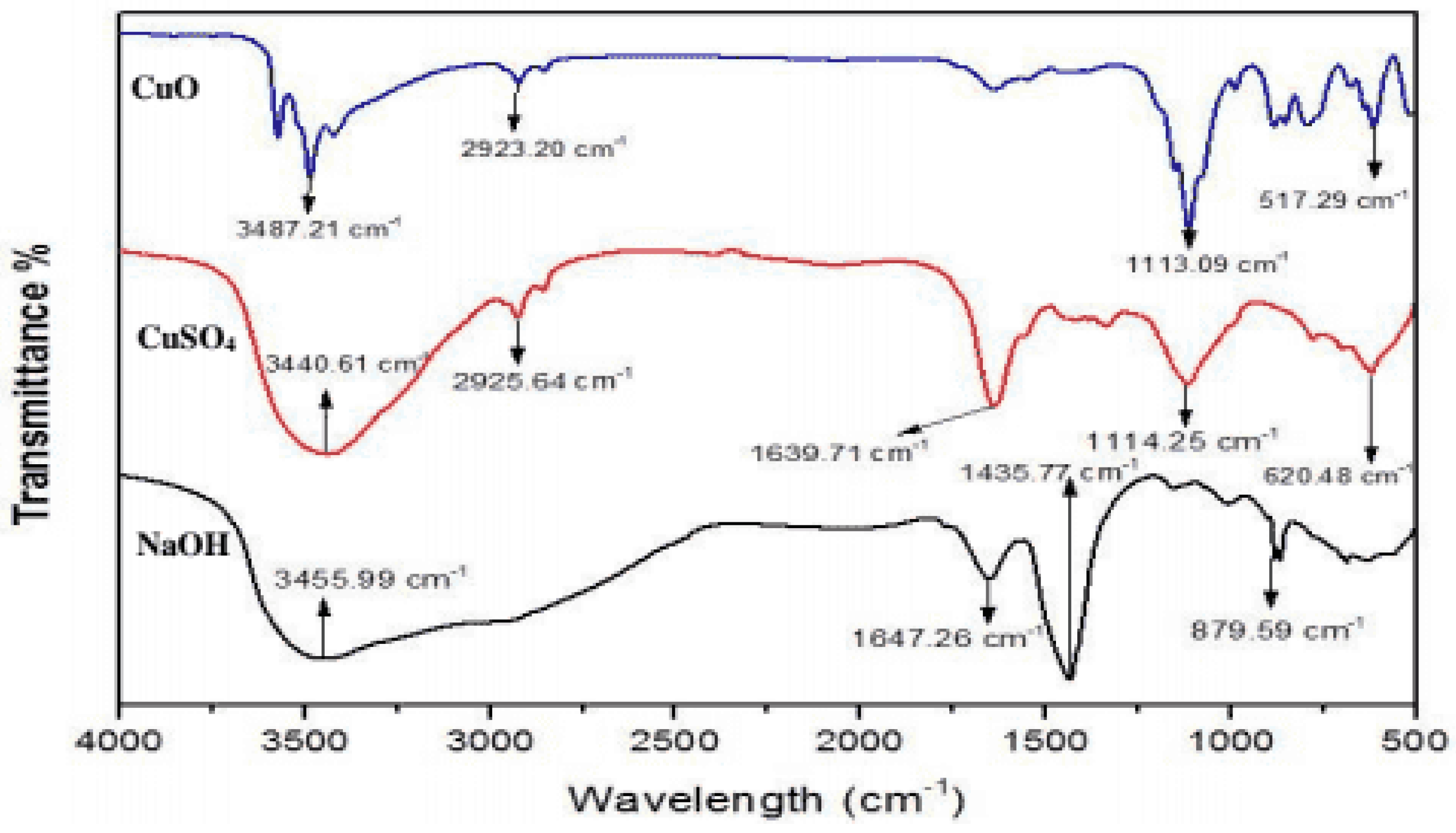 Preprints 143335 g008