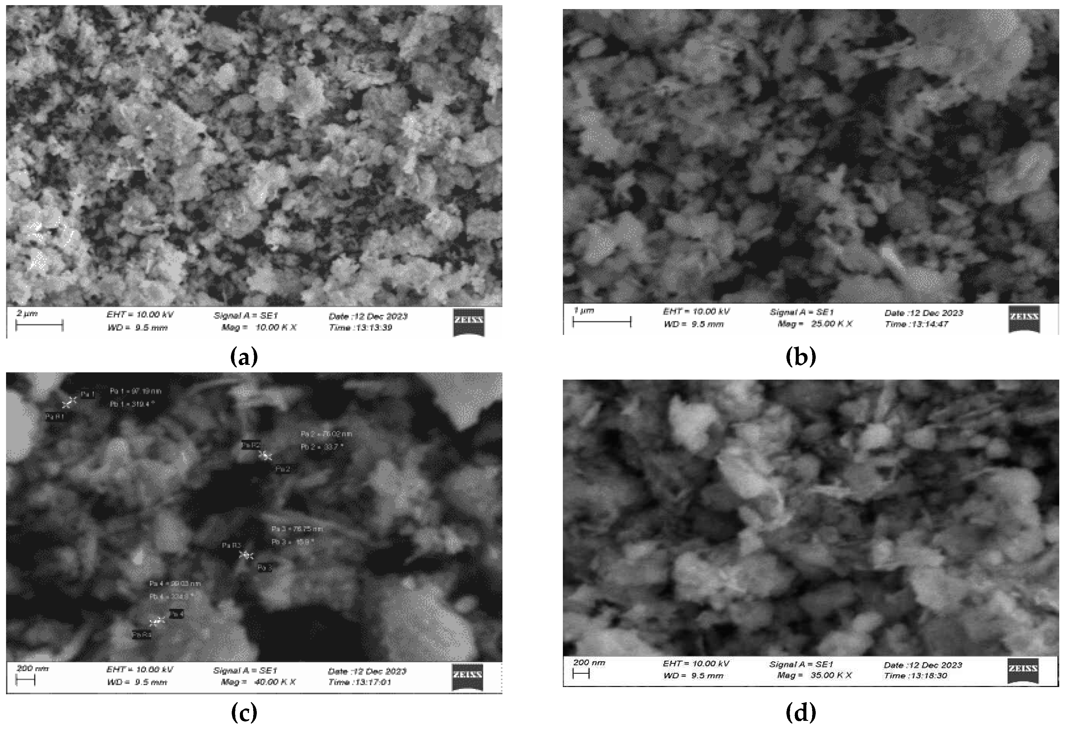 Preprints 143335 g010