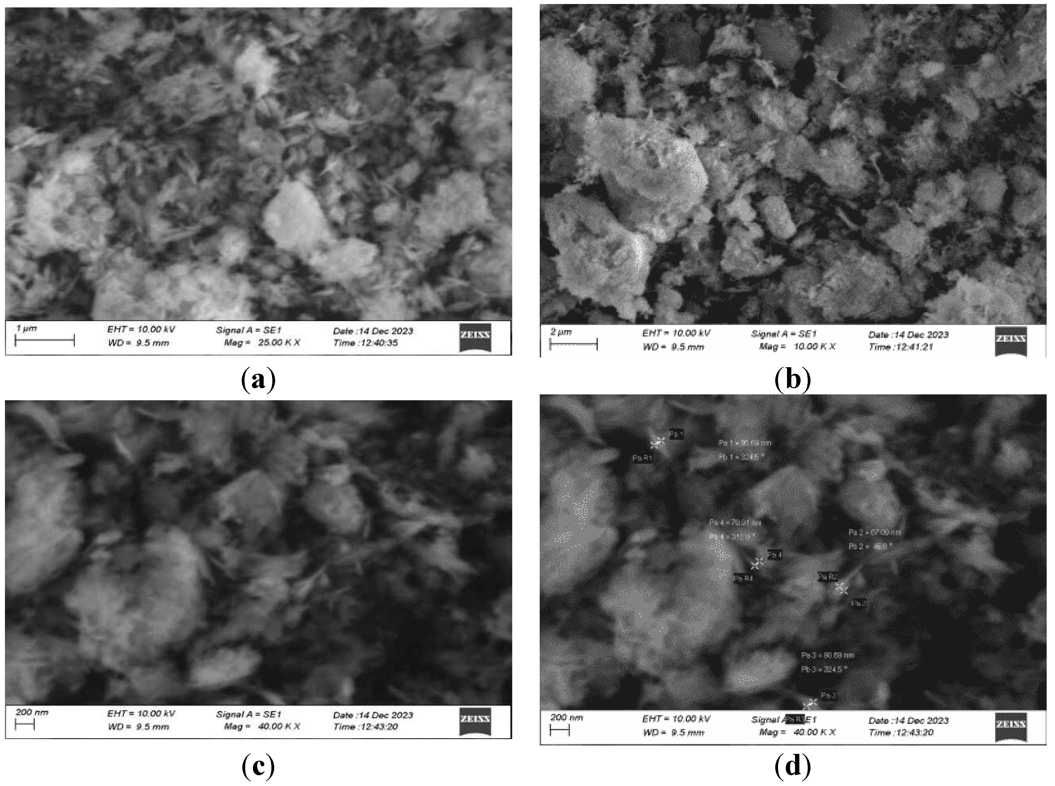 Preprints 143335 g011