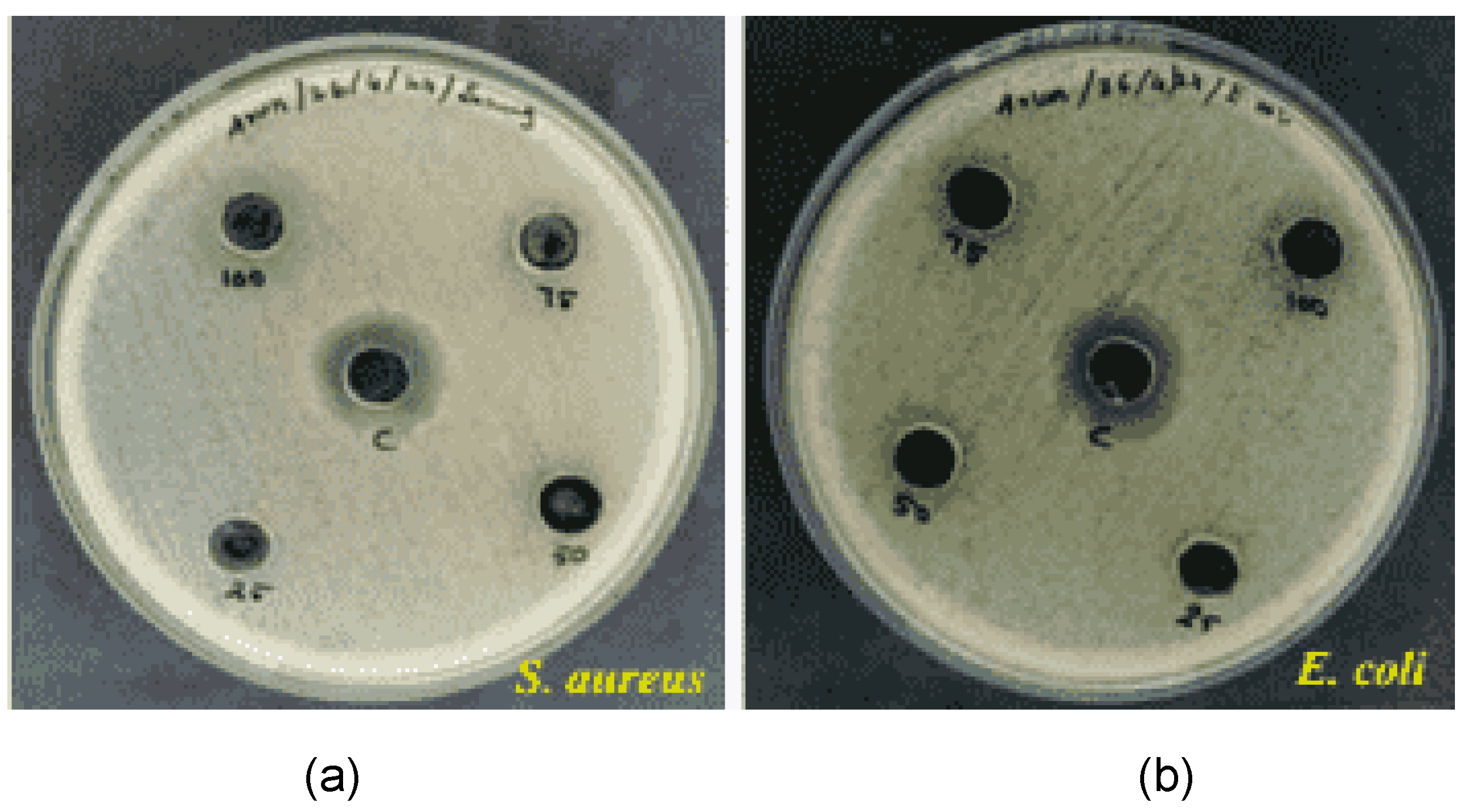 Preprints 143335 g012