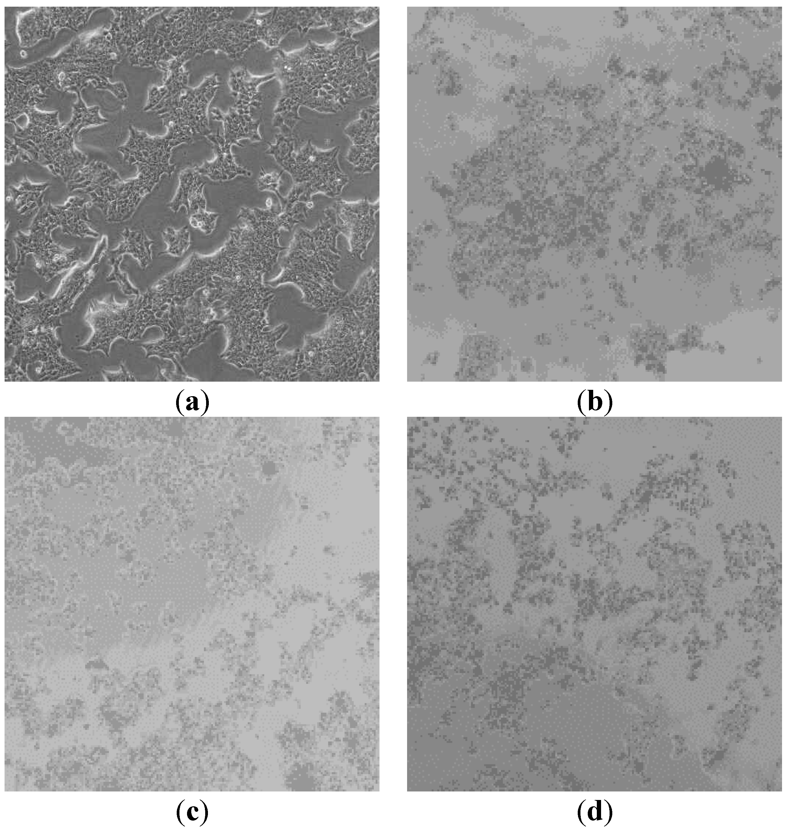 Preprints 143335 g013