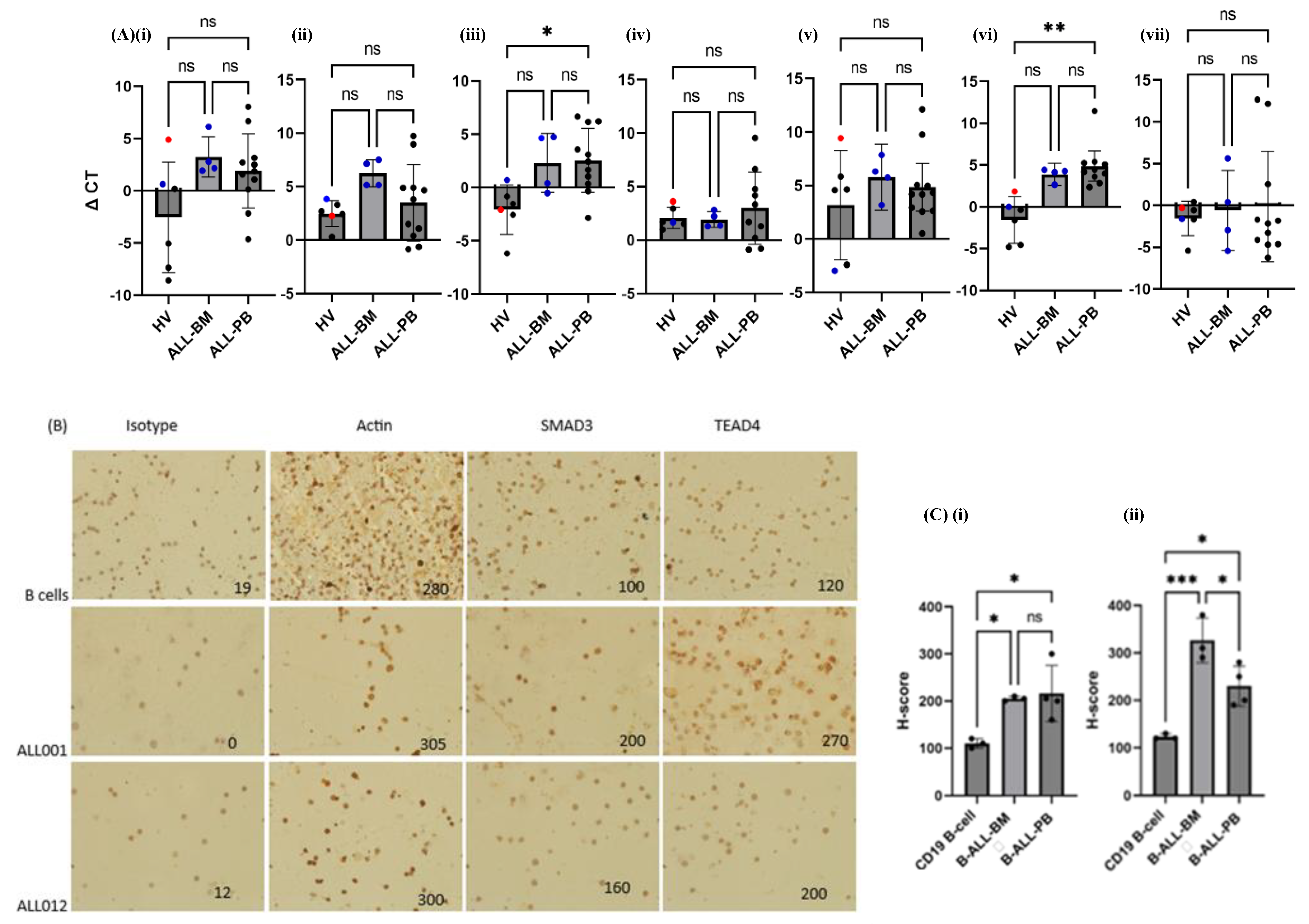 Preprints 149540 g004