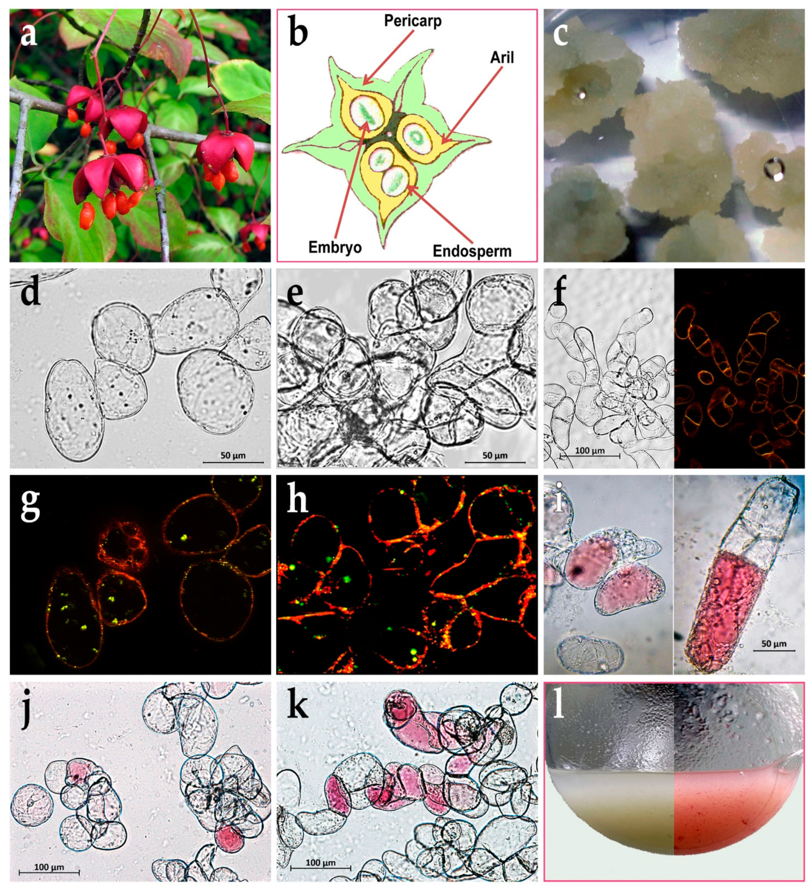 Preprints 83845 g001