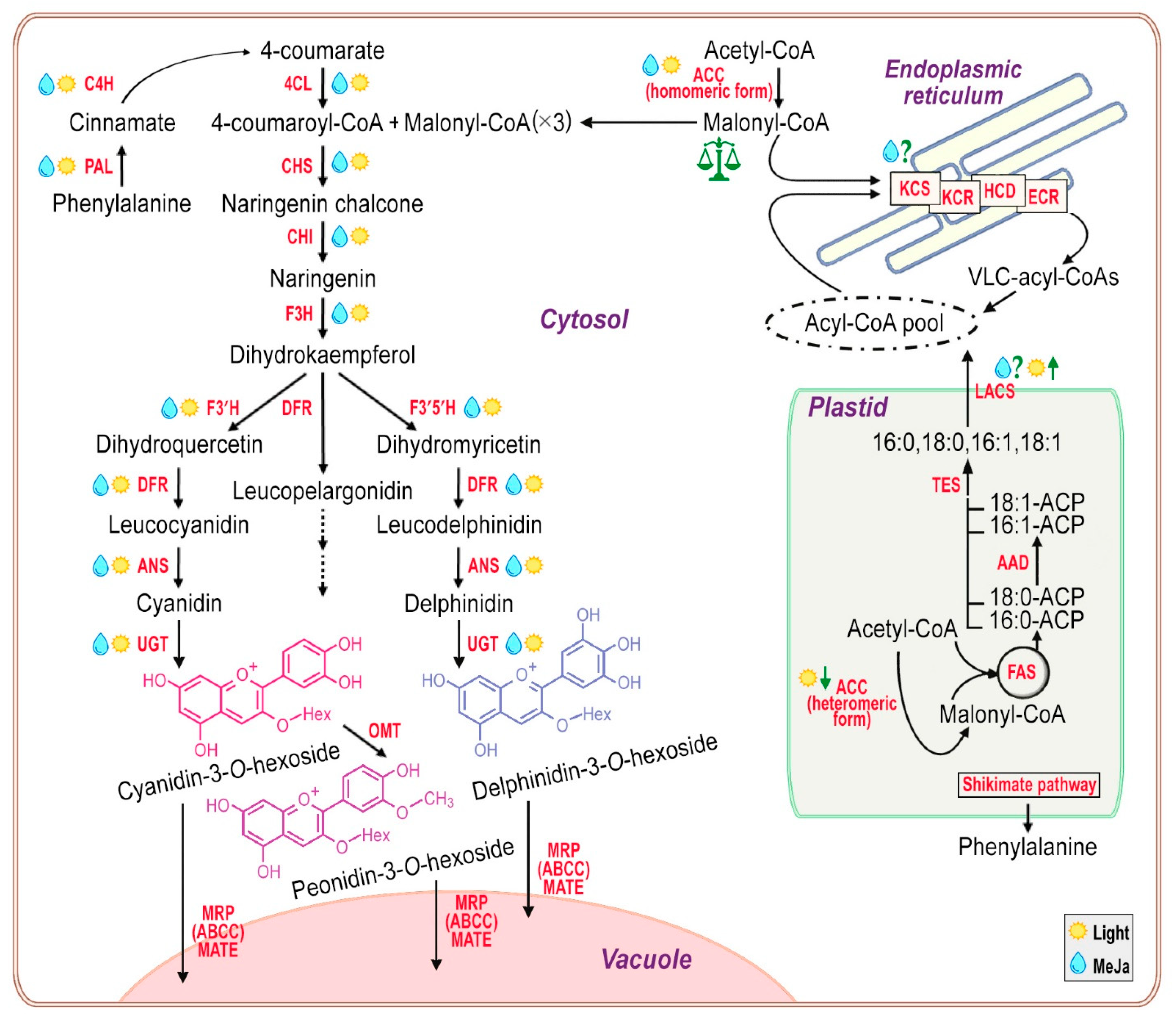 Preprints 83845 g013