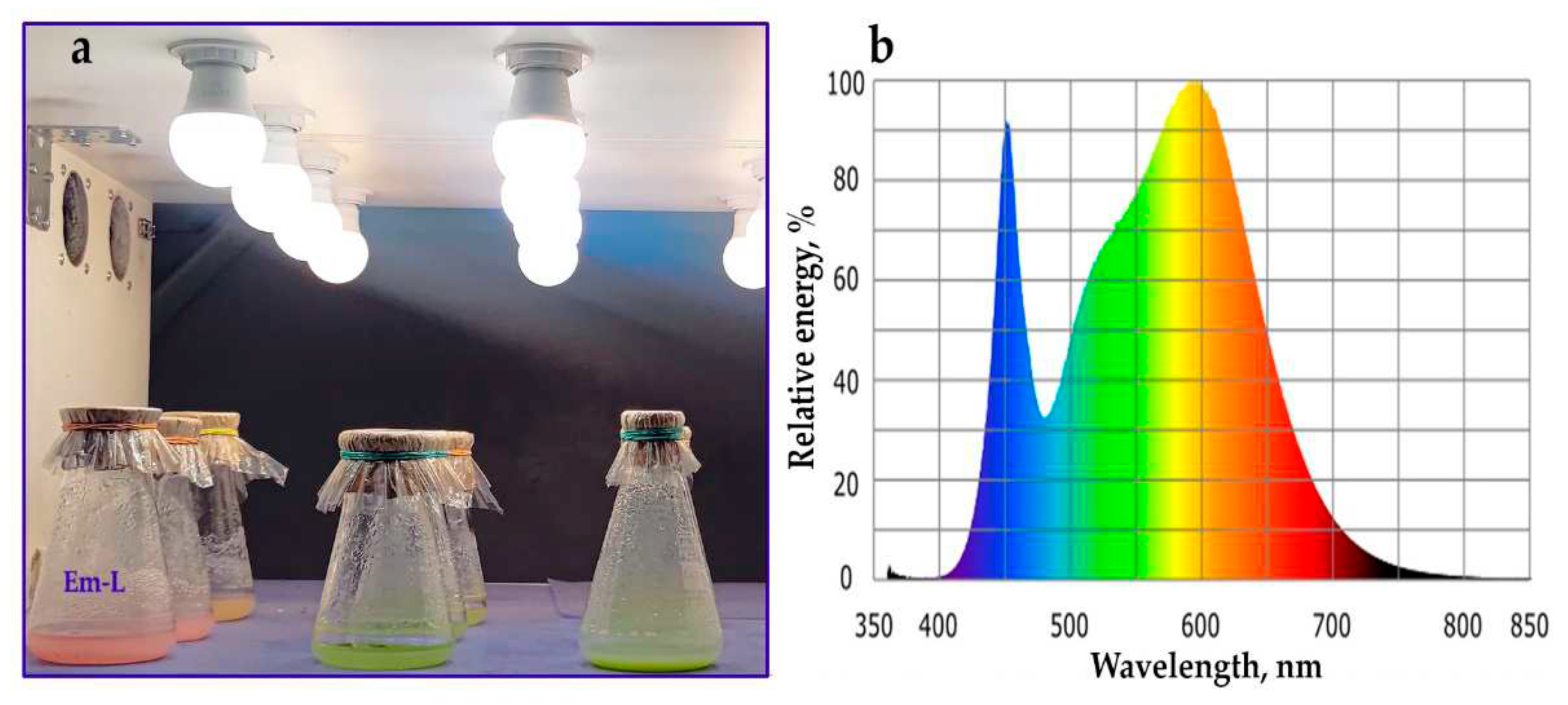 Preprints 83845 g0a1
