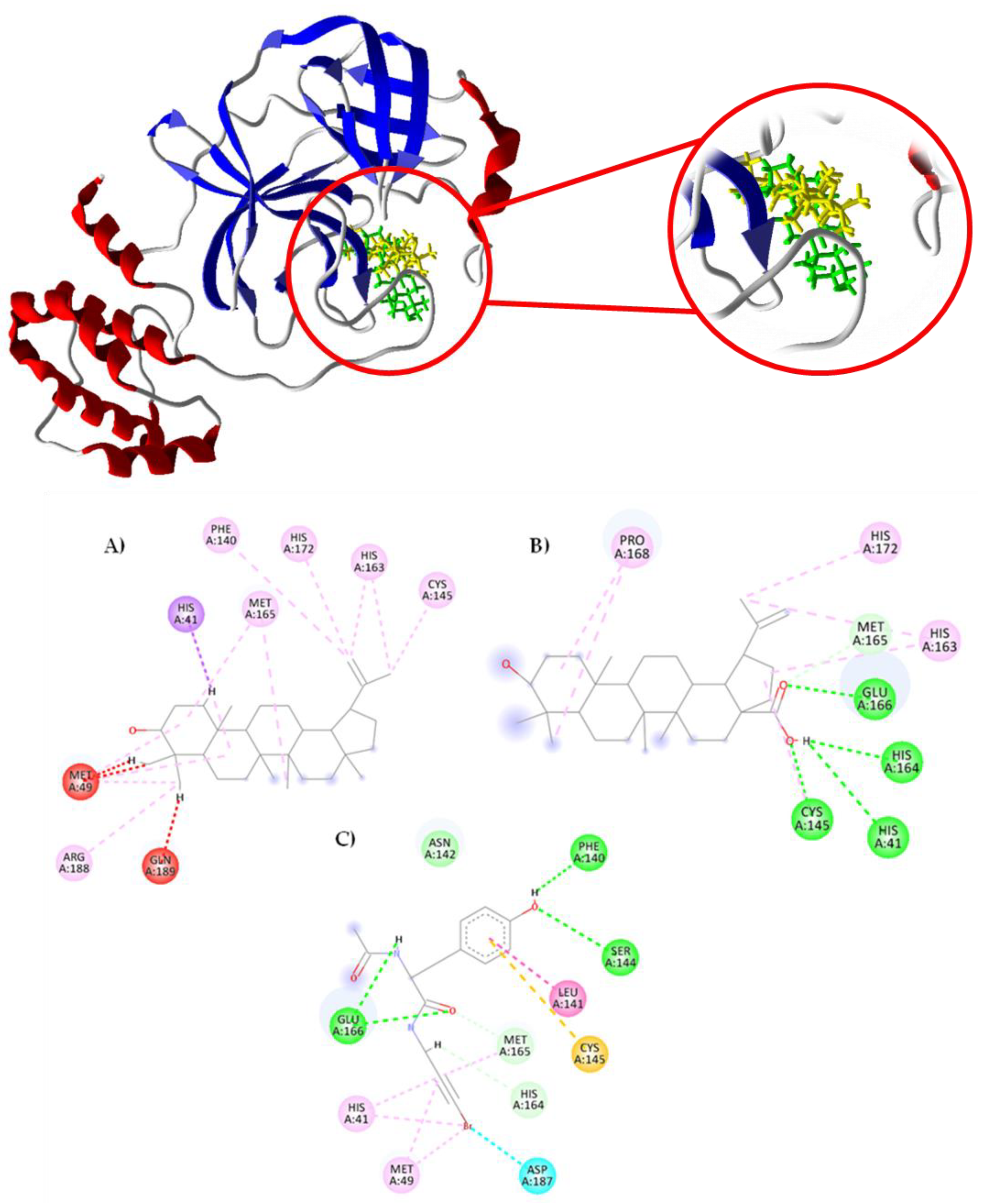 Preprints 108932 g002