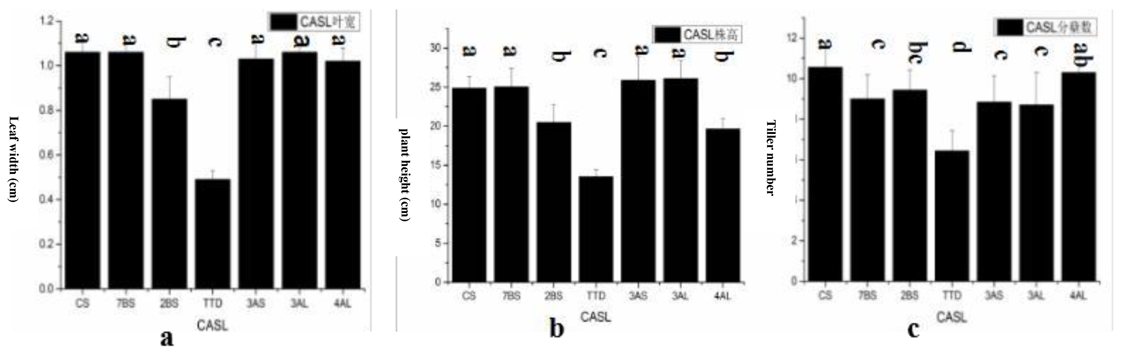 Preprints 148353 g004