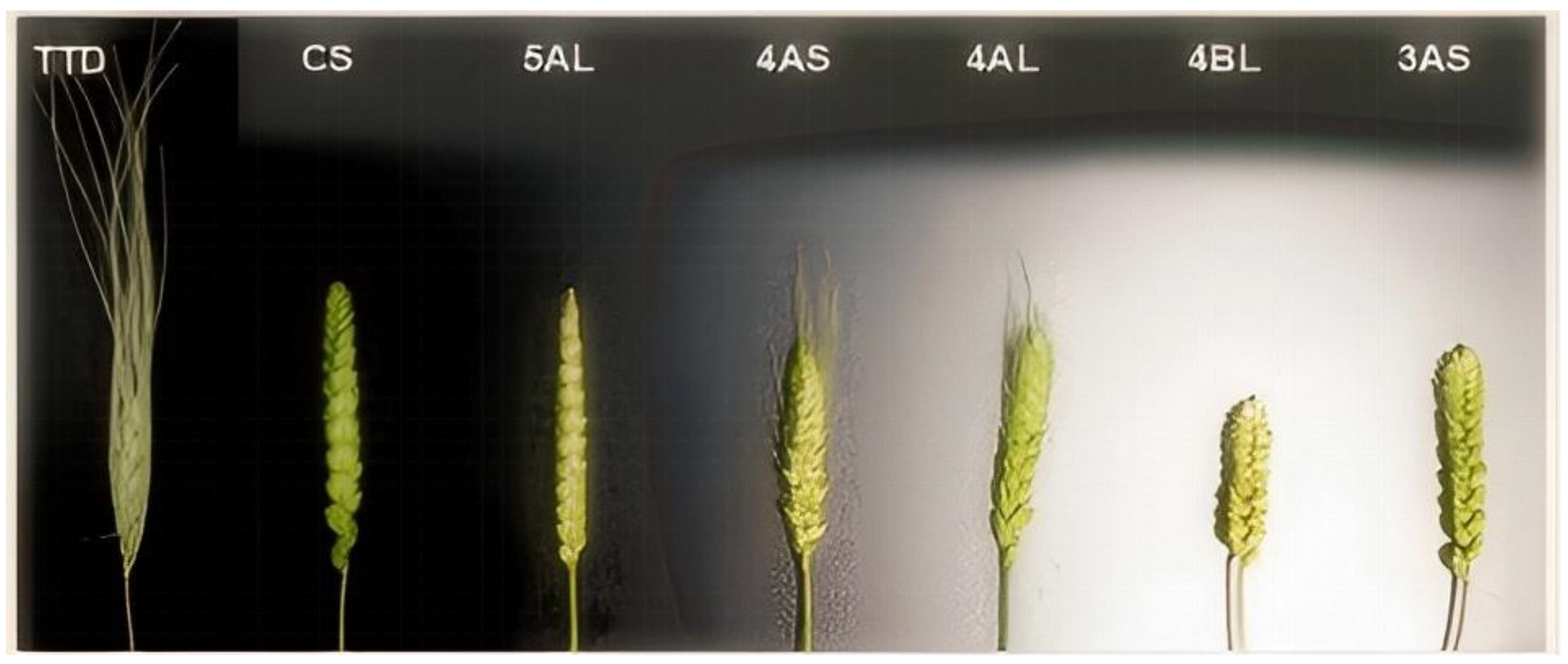 Preprints 148353 g007