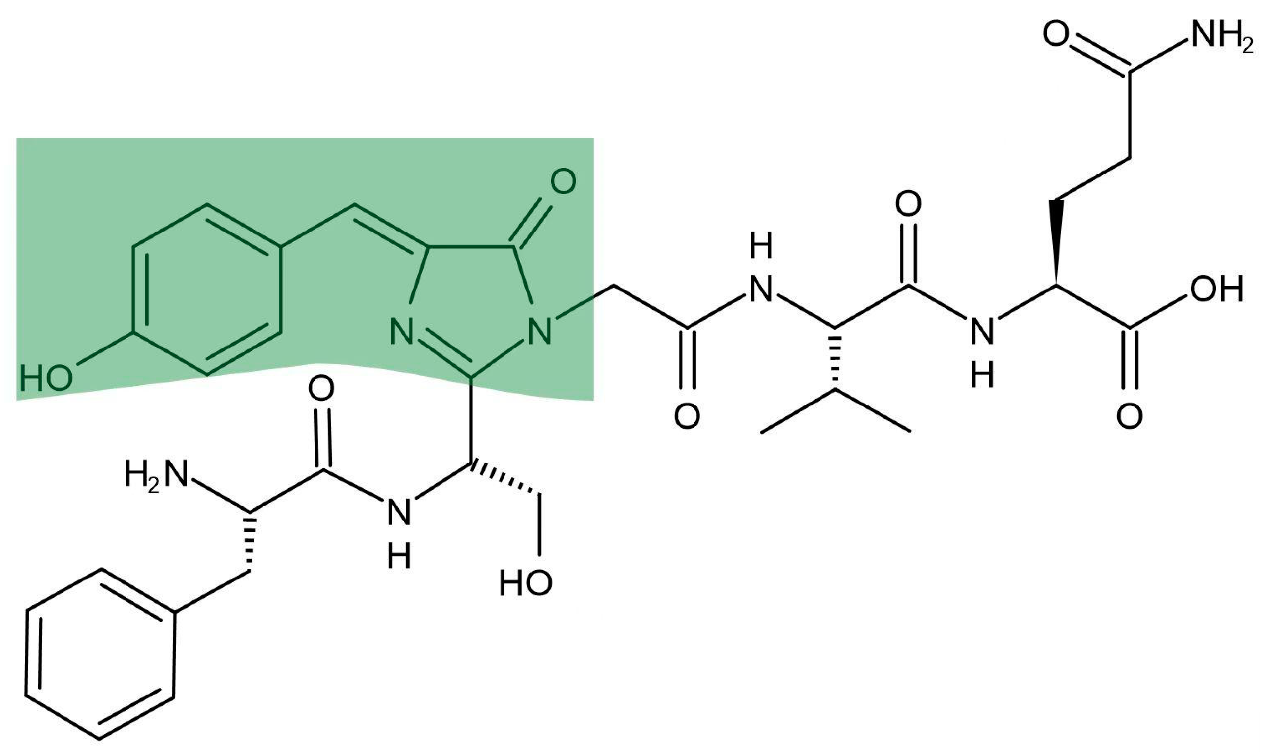 Aggregation-Induced Emission Luminogens (AIEgens):A New