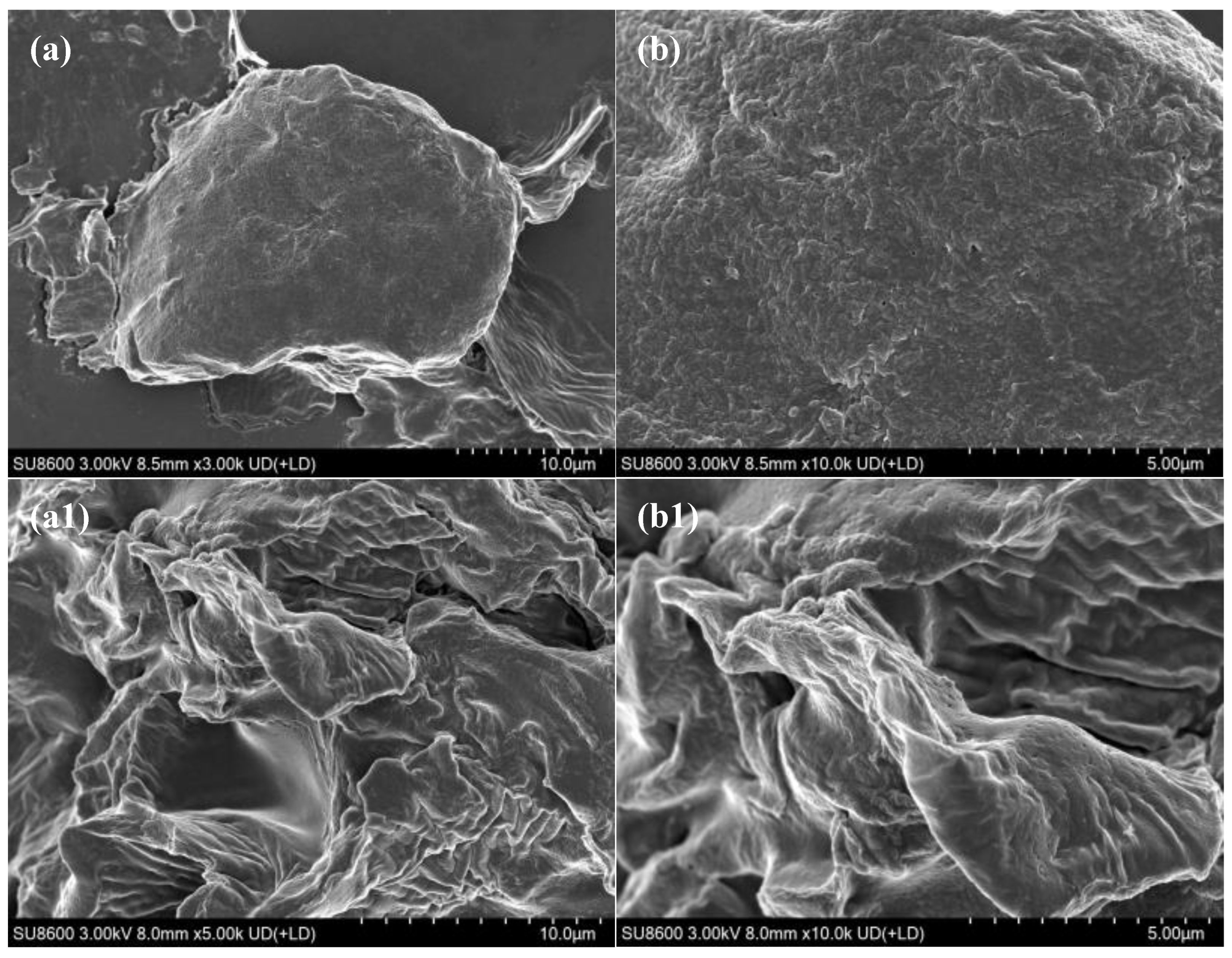 Preprints 194092 g003