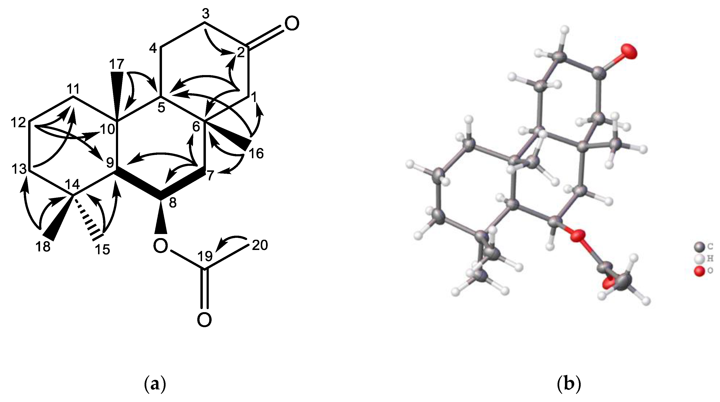 Preprints 138649 g006