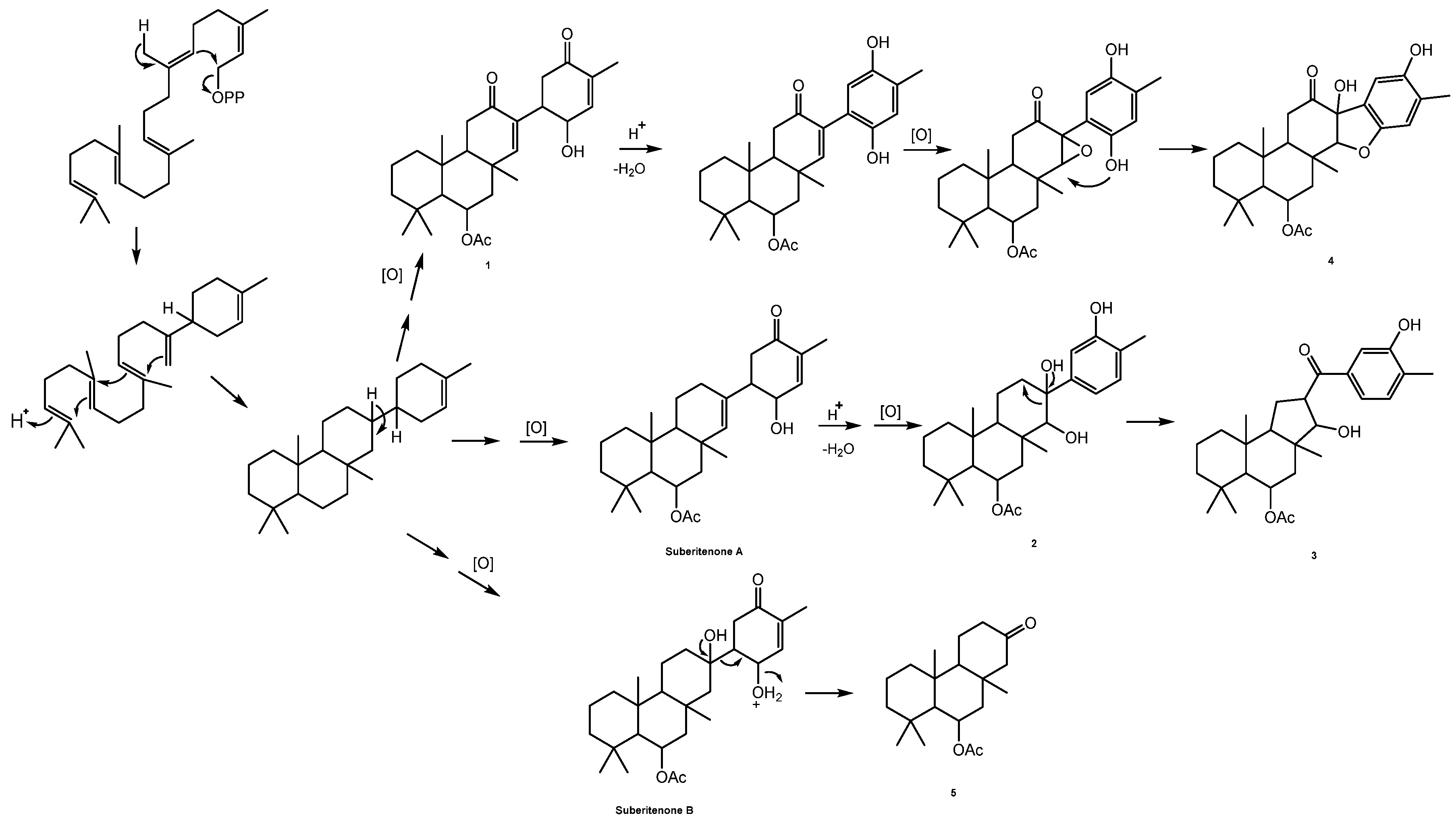 Preprints 138649 g007