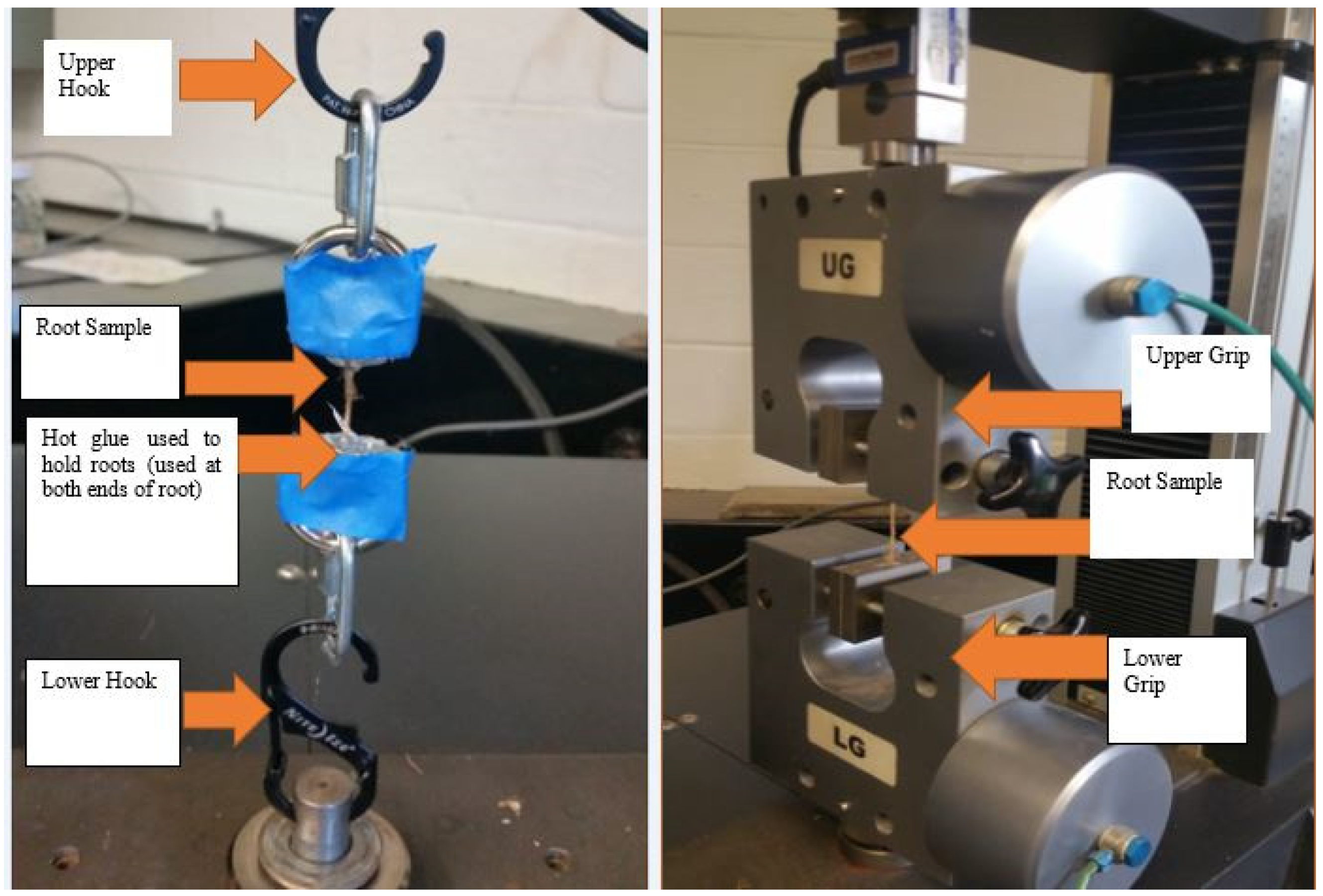 Preprints 157020 g001
