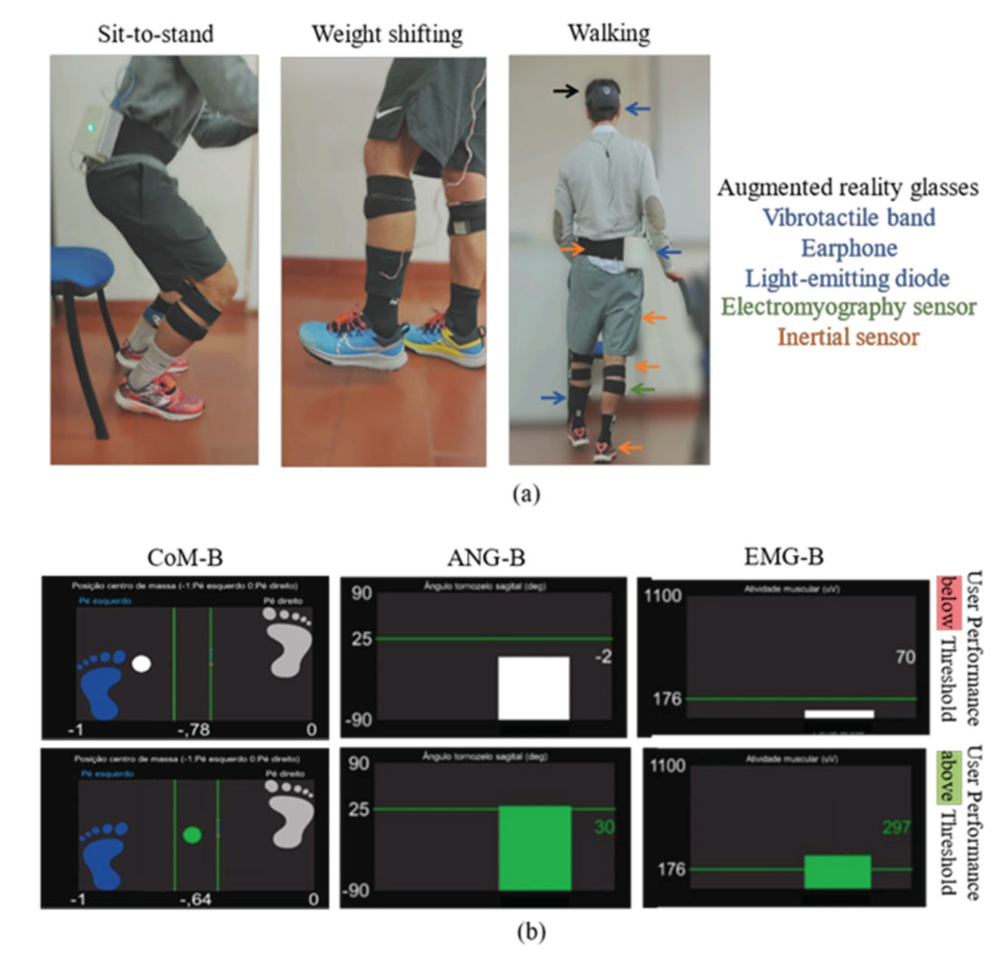 Preprints 211793 g001